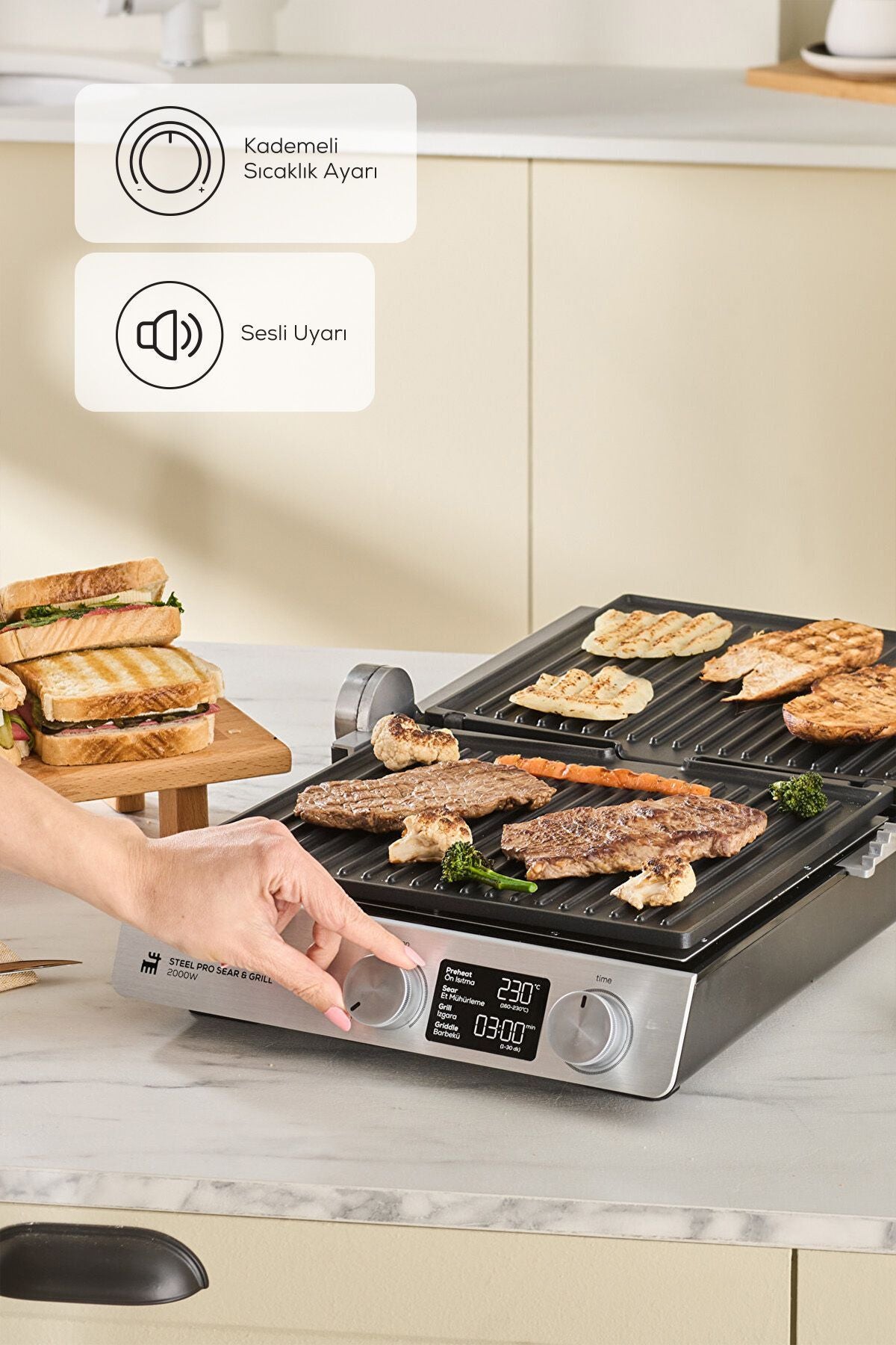 Compact Steel Pro Sear and Grill Inox 2007 Grill and Toaster