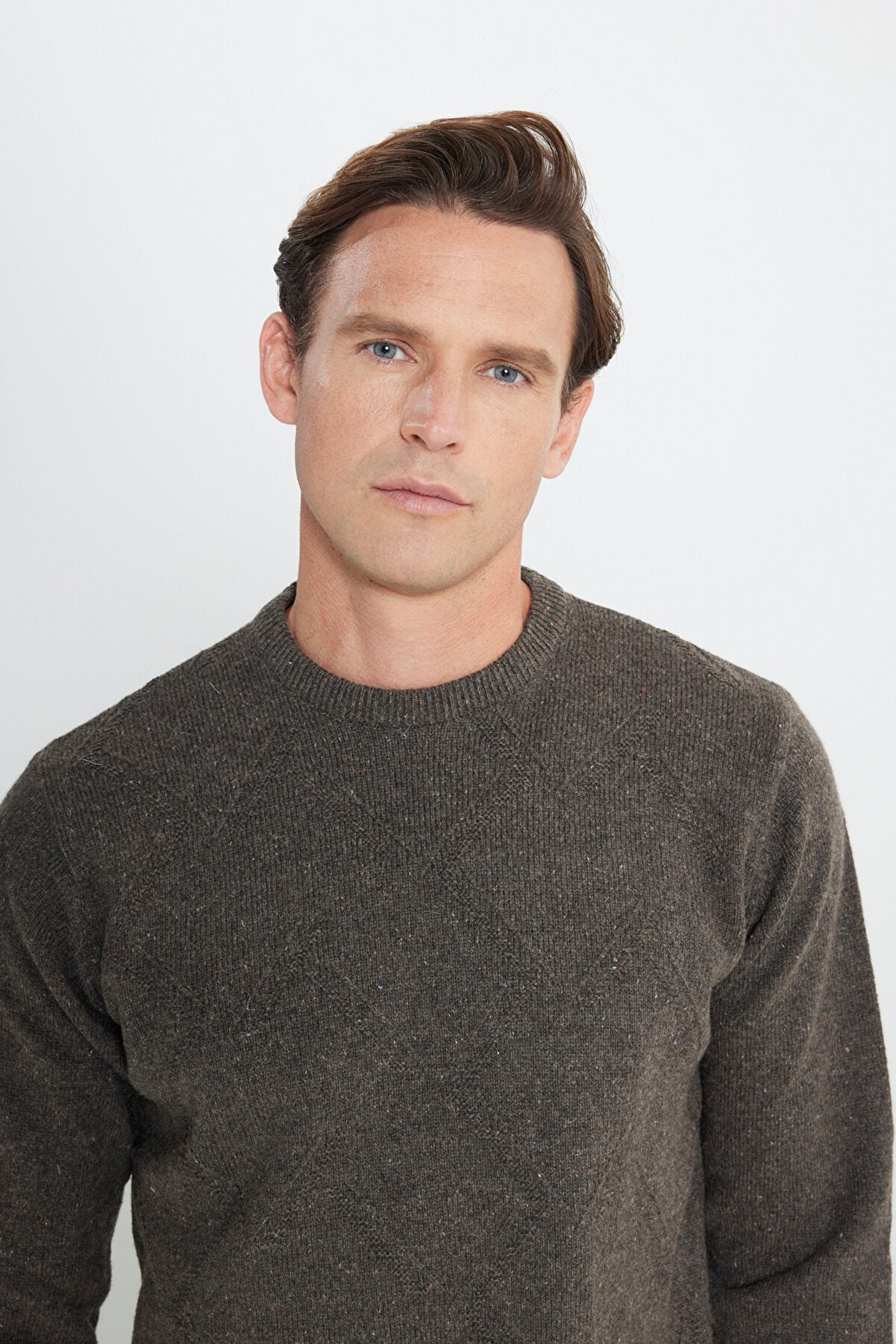 Men's Brown Wool Standard Fit Regular Fit Crew Neck Jacquard Knitwear Sweater