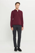 Men's Burgundy Anti-Pilling Anti Pilling Fabric Standard Fit Polo Collar Sweater
