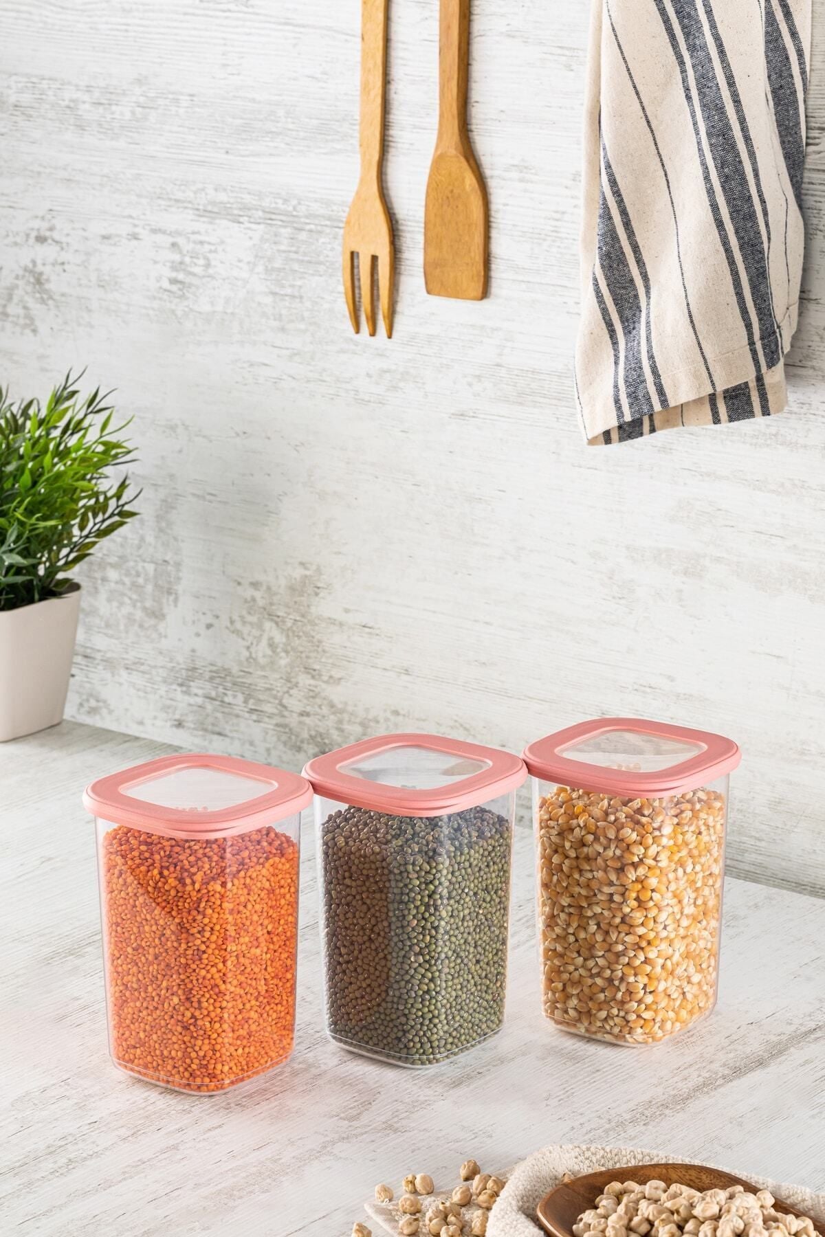 Forbs 12 Piece Jar/Storage Container