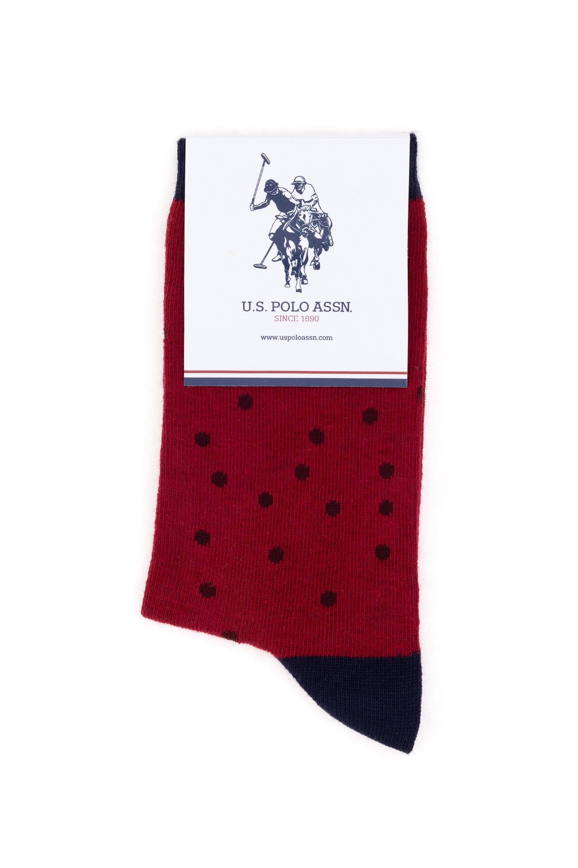Women's Burgundy Socket Socks
