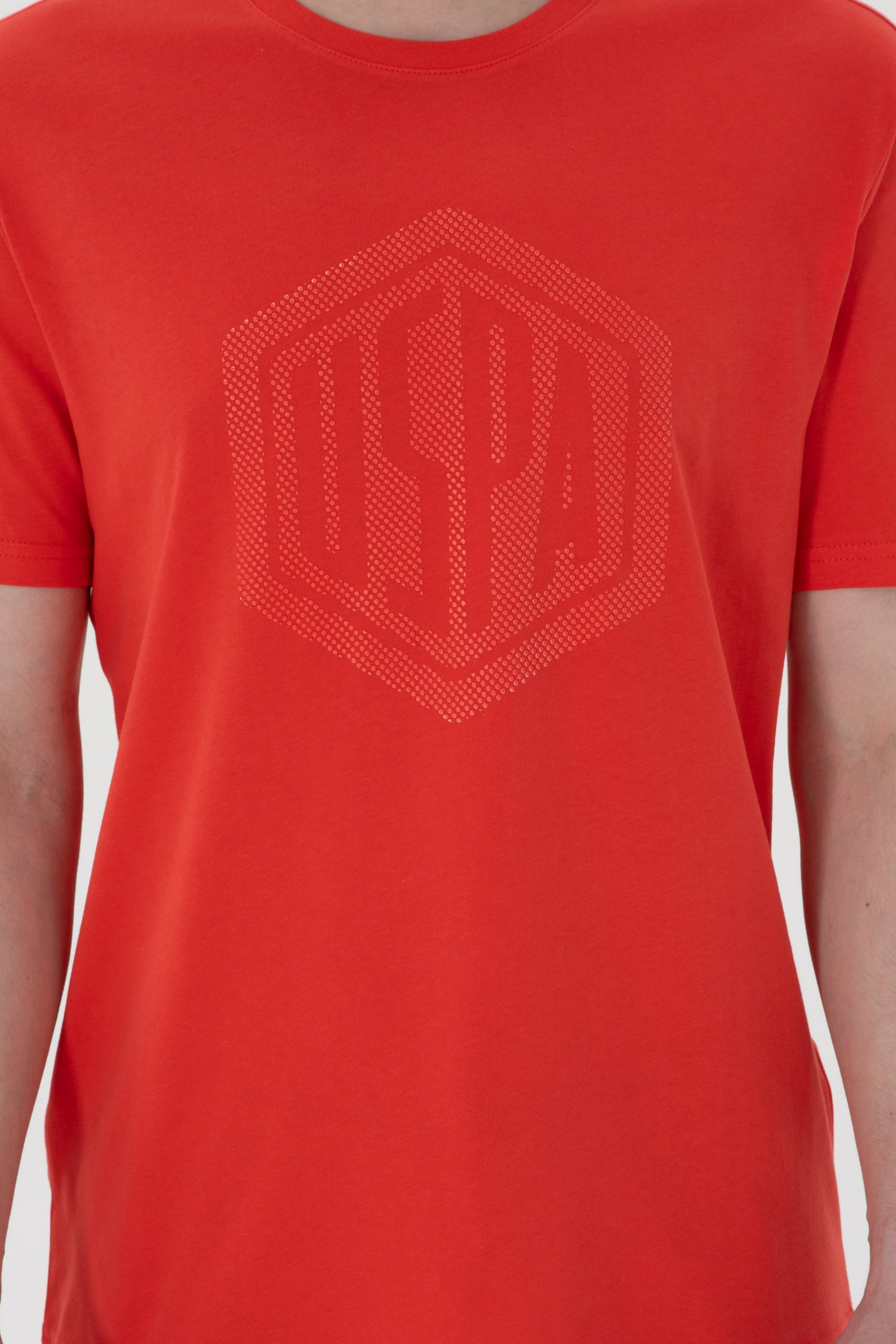 Men's Regular Fit Crew Neck Red T-Shirt