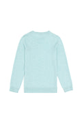 Girls' Water Green Crew Neck Basic Sweater
