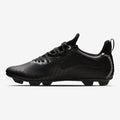 Rapido Men's Boots