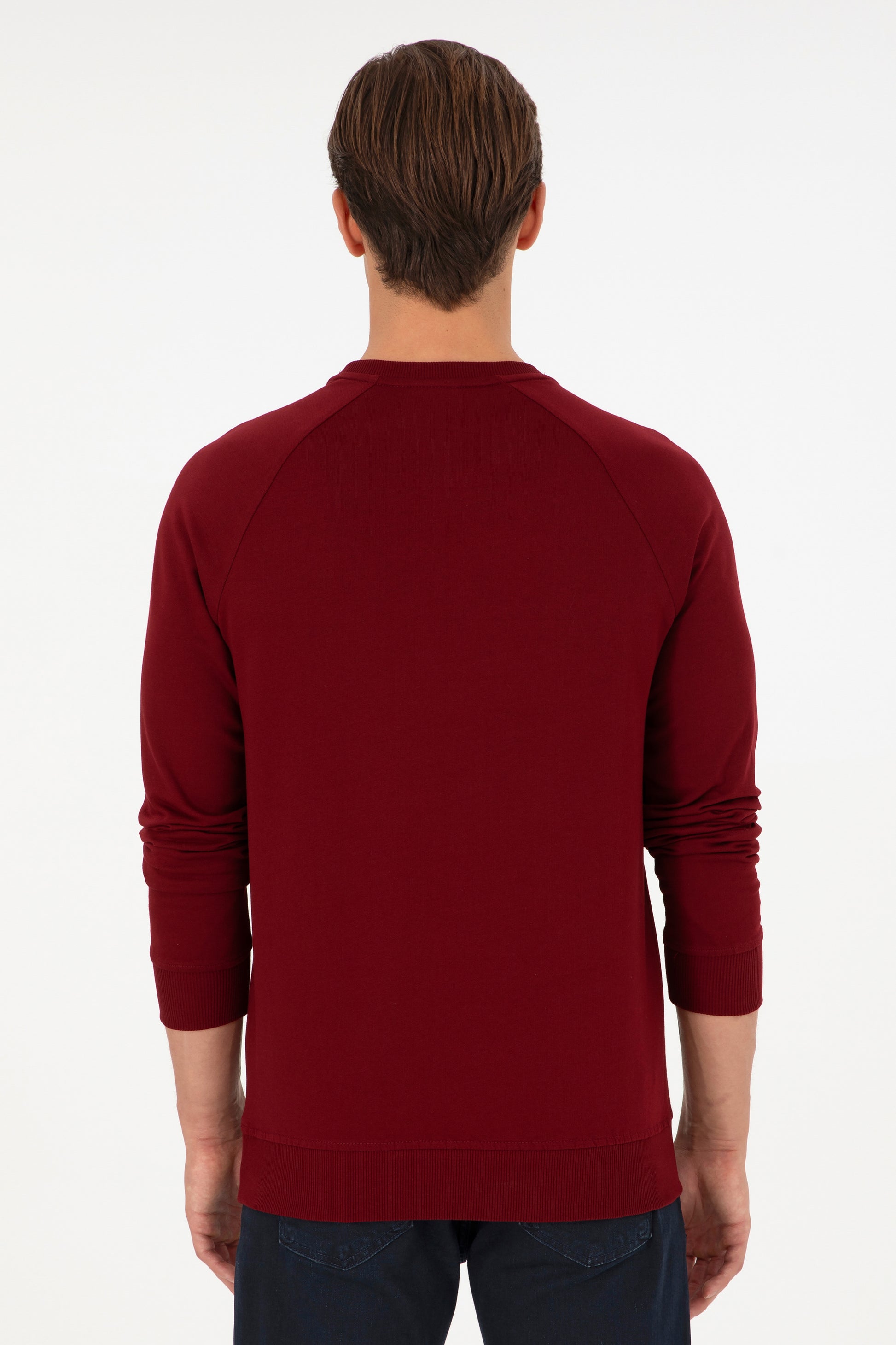 Men's Regular Fit Crew Neck Burgundy Basic Sweatshirt