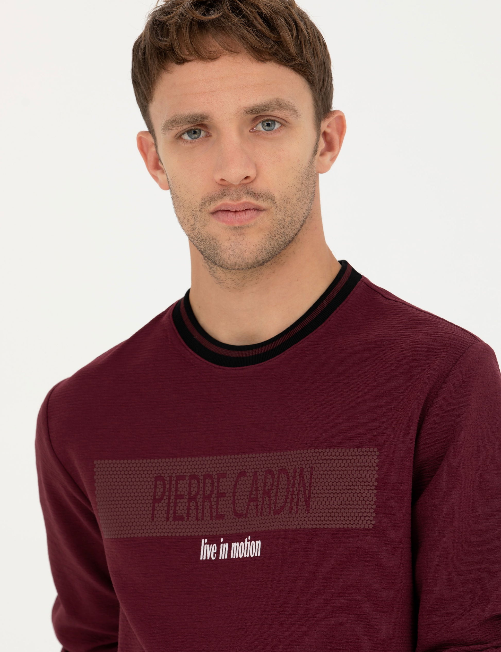 Burgundy Regular Fit Crew Neck Sweatshirt