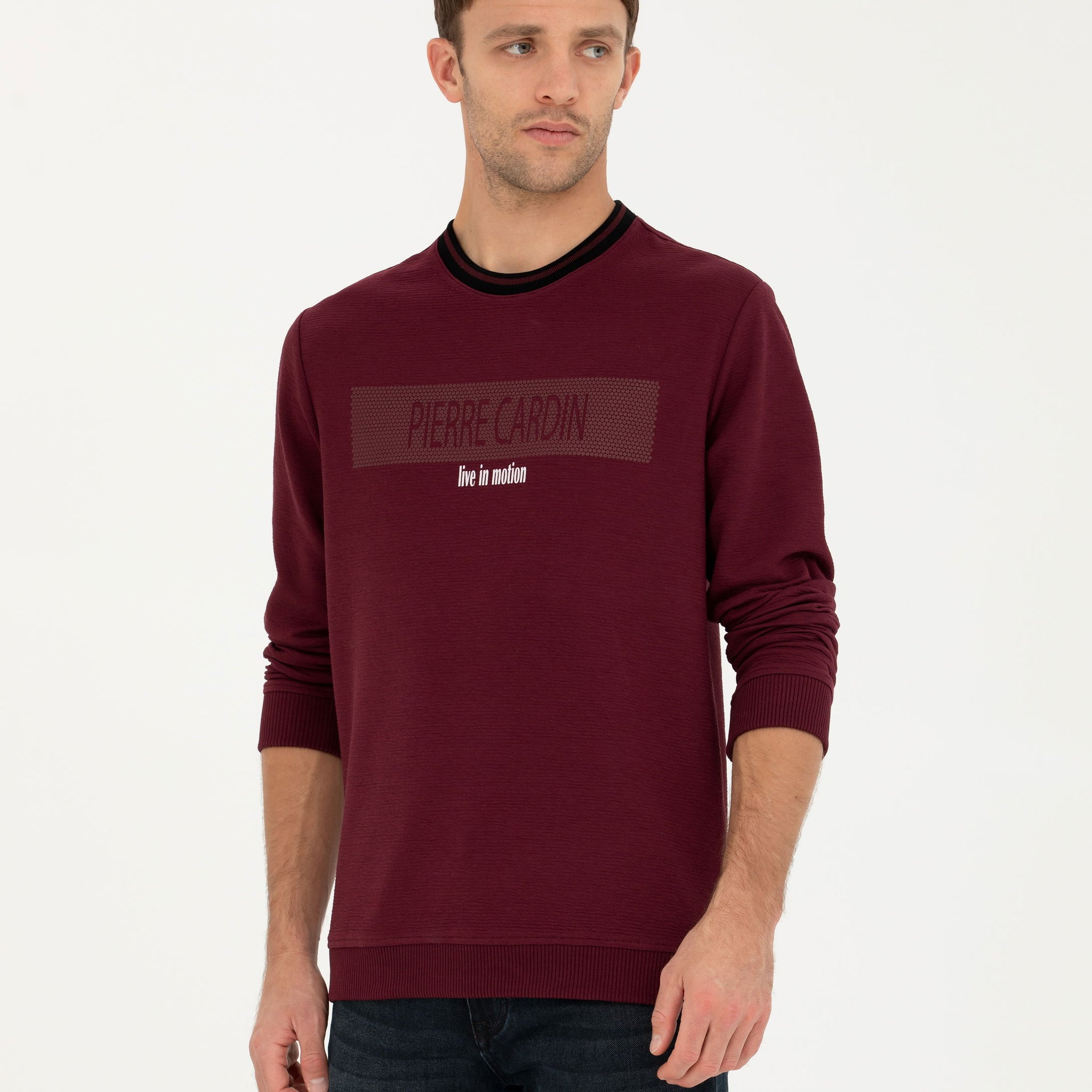 Burgundy Regular Fit Crew Neck Sweatshirt