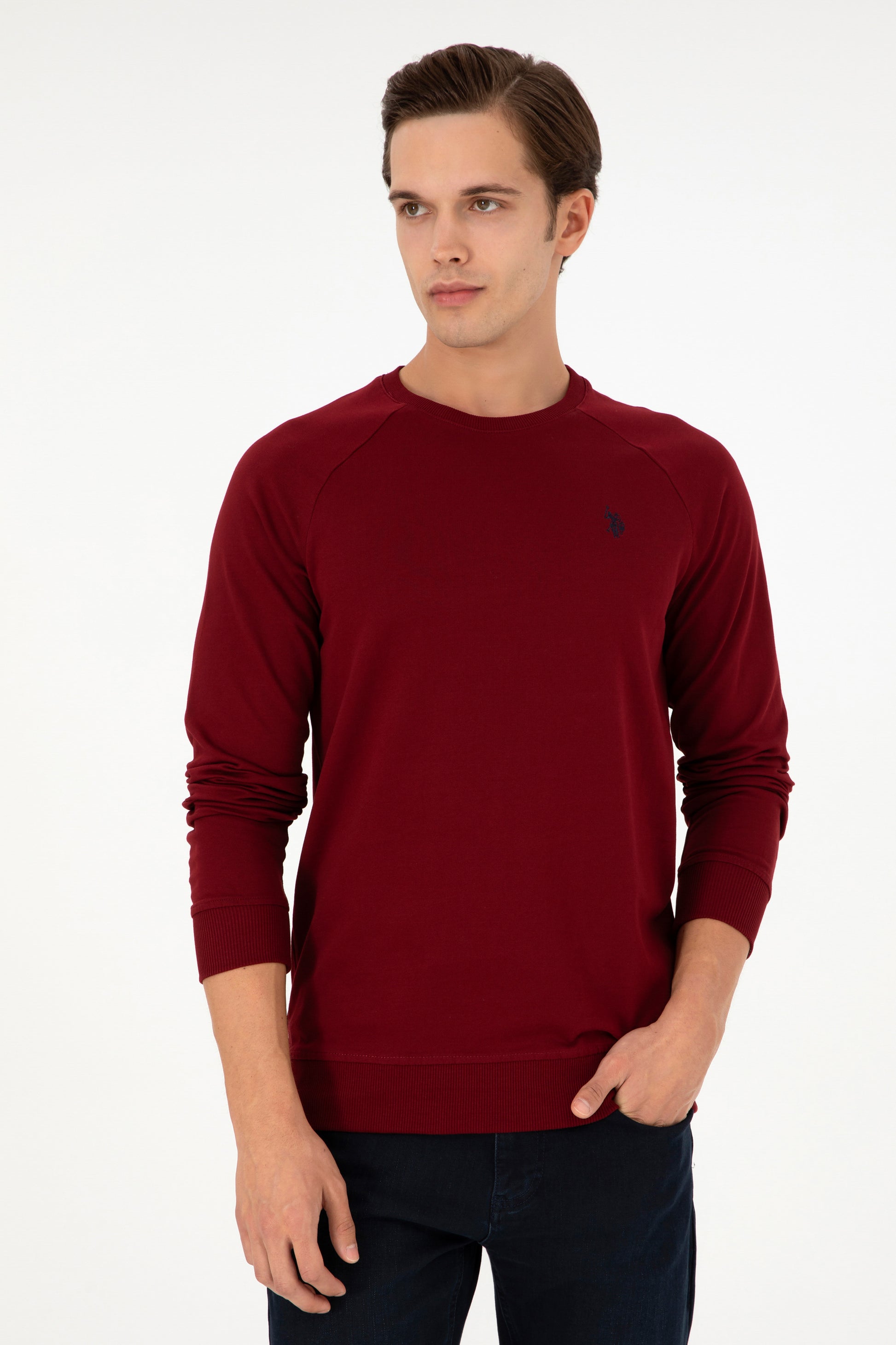 Men's Regular Fit Crew Neck Burgundy Basic Sweatshirt