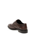 Brown 100% Leather Classic Shoes