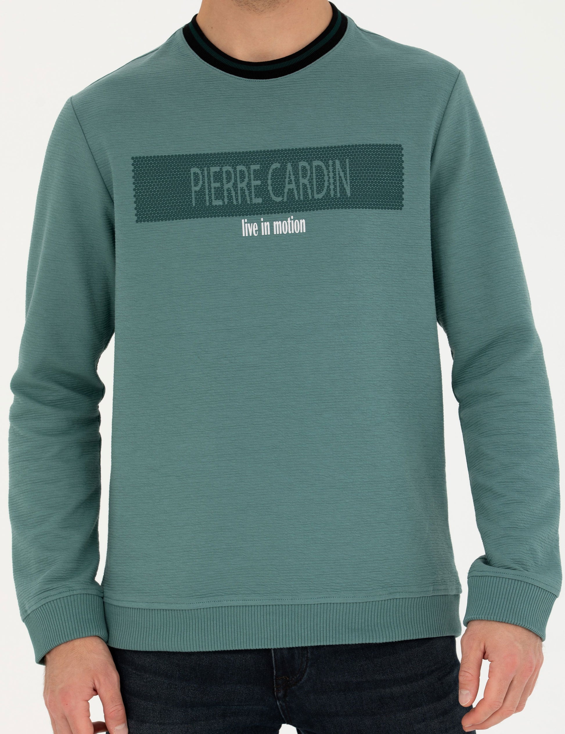 Green Regular Fit Crew Neck Sweatshirt