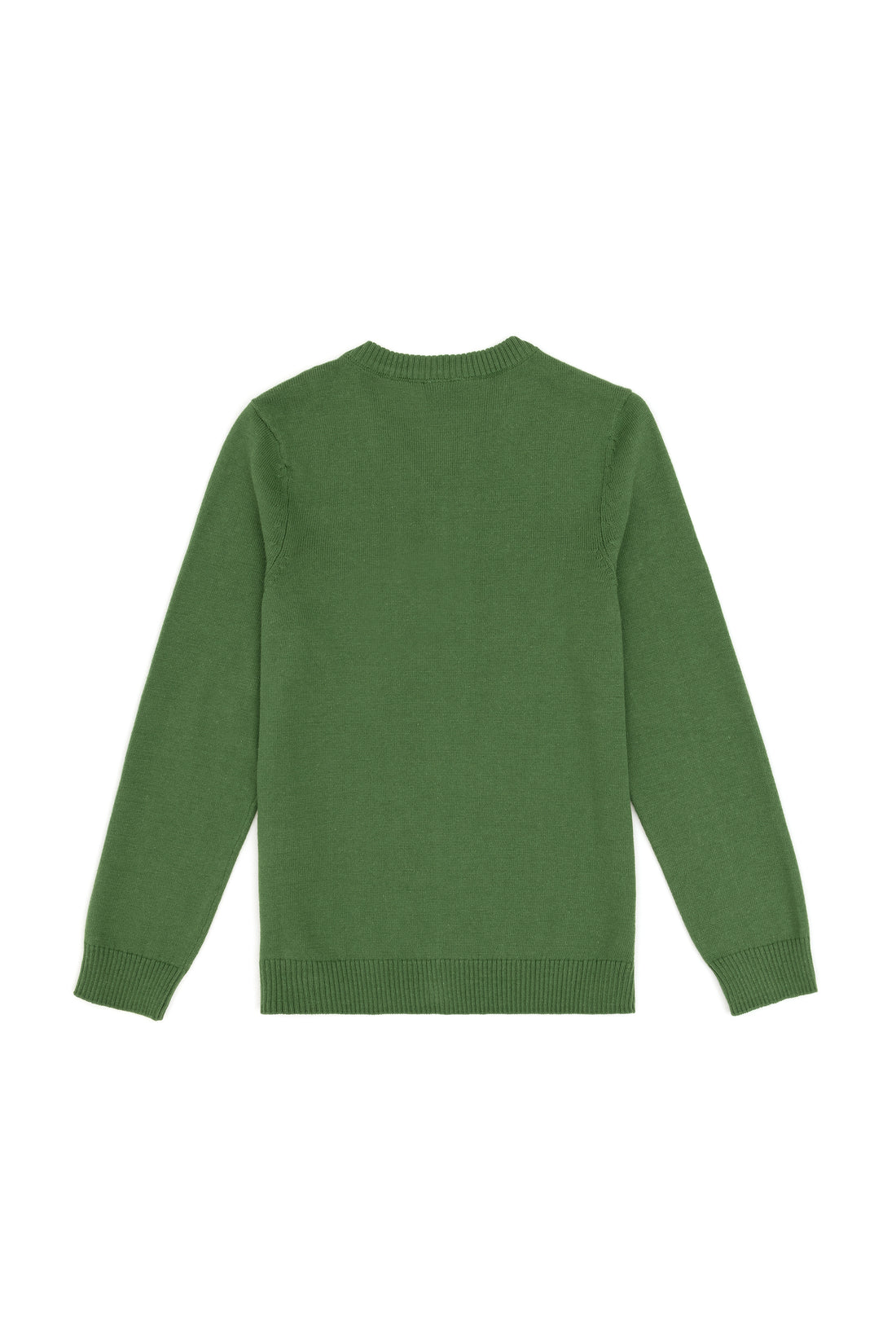 Boys' Green Basic V Neck Sweater