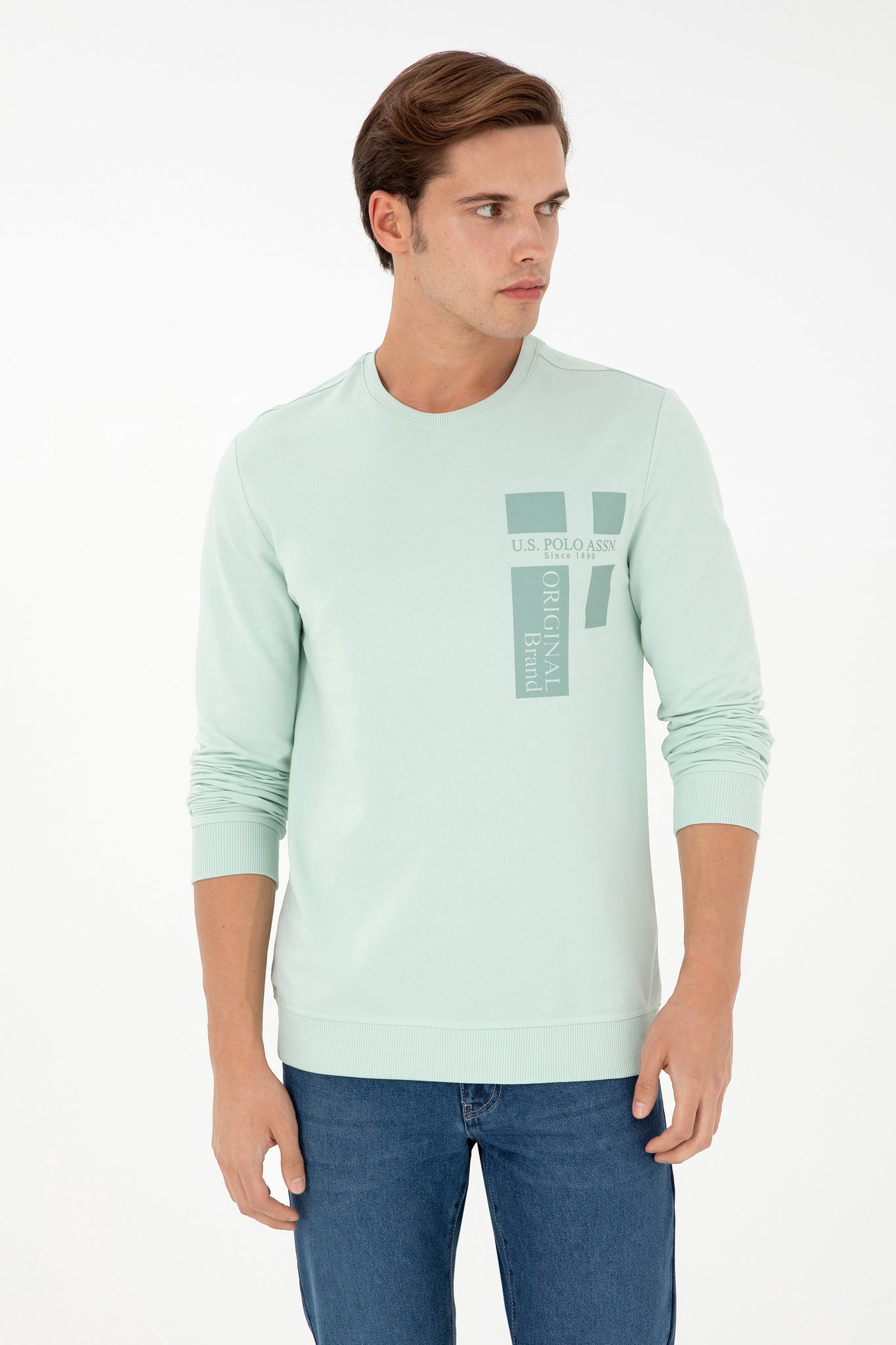 Men's Regular Fit Crew Neck Water Green Sweatshirt