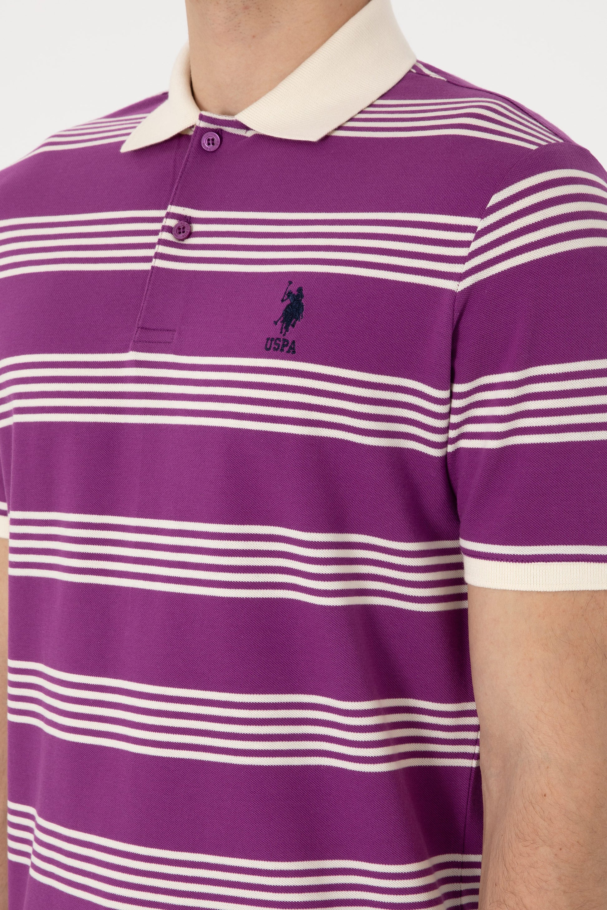 Men's Regular Fit Polo Neck Purple Striped T-Shirt