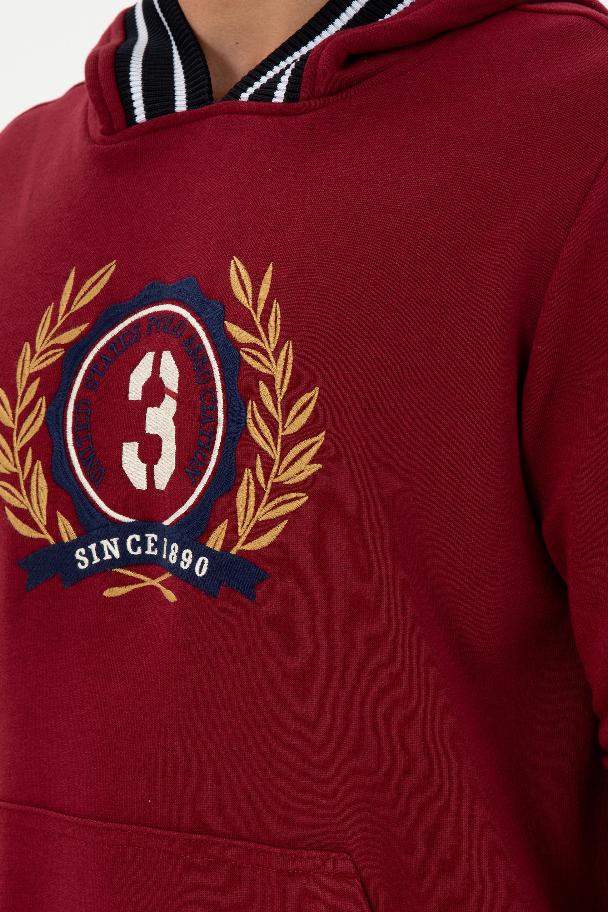 Men's Burgundy Sweatshirt