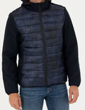 Navy Blue Hooded Quilted Sports Coat