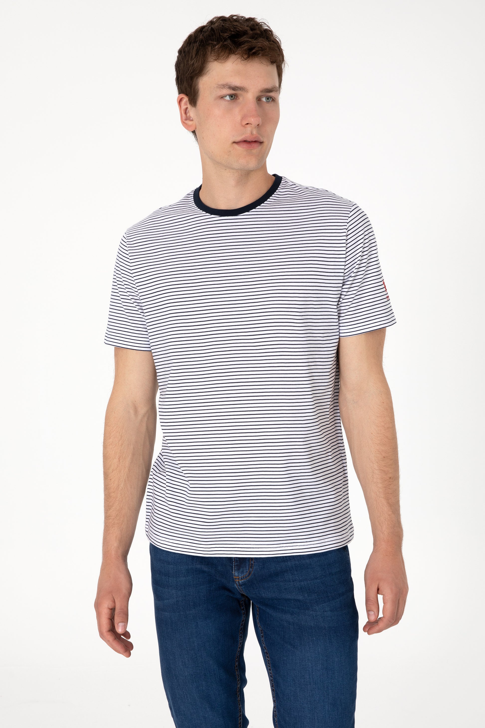 Men's Regular Fit Crew Neck Navy Striped T-Shirt
