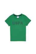 Boy's Green Basic Crew Neck T-Shirt