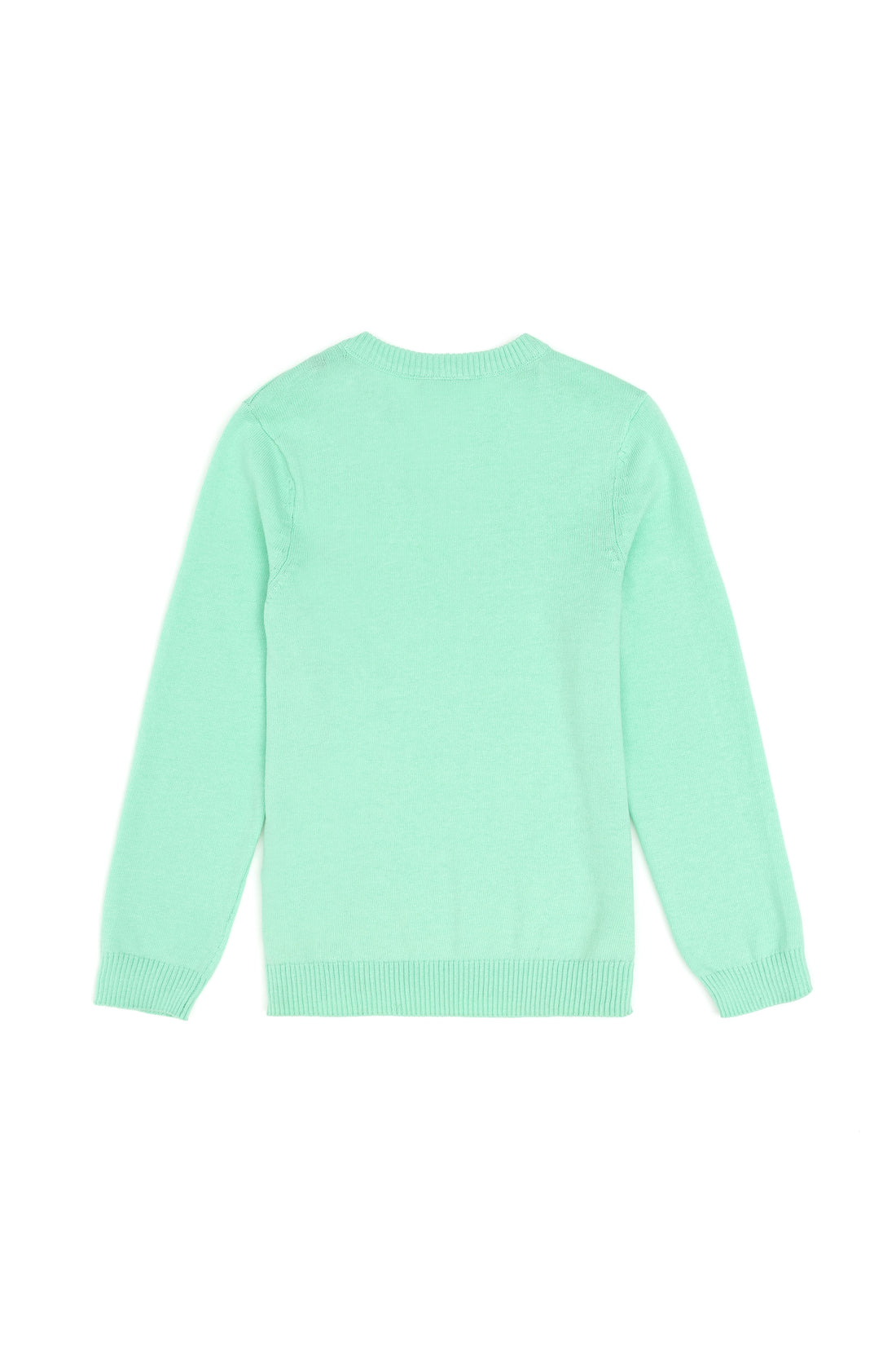 Boys' Mint Basic V Neck Sweater