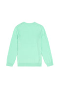 Boys' Mint Basic V Neck Sweater