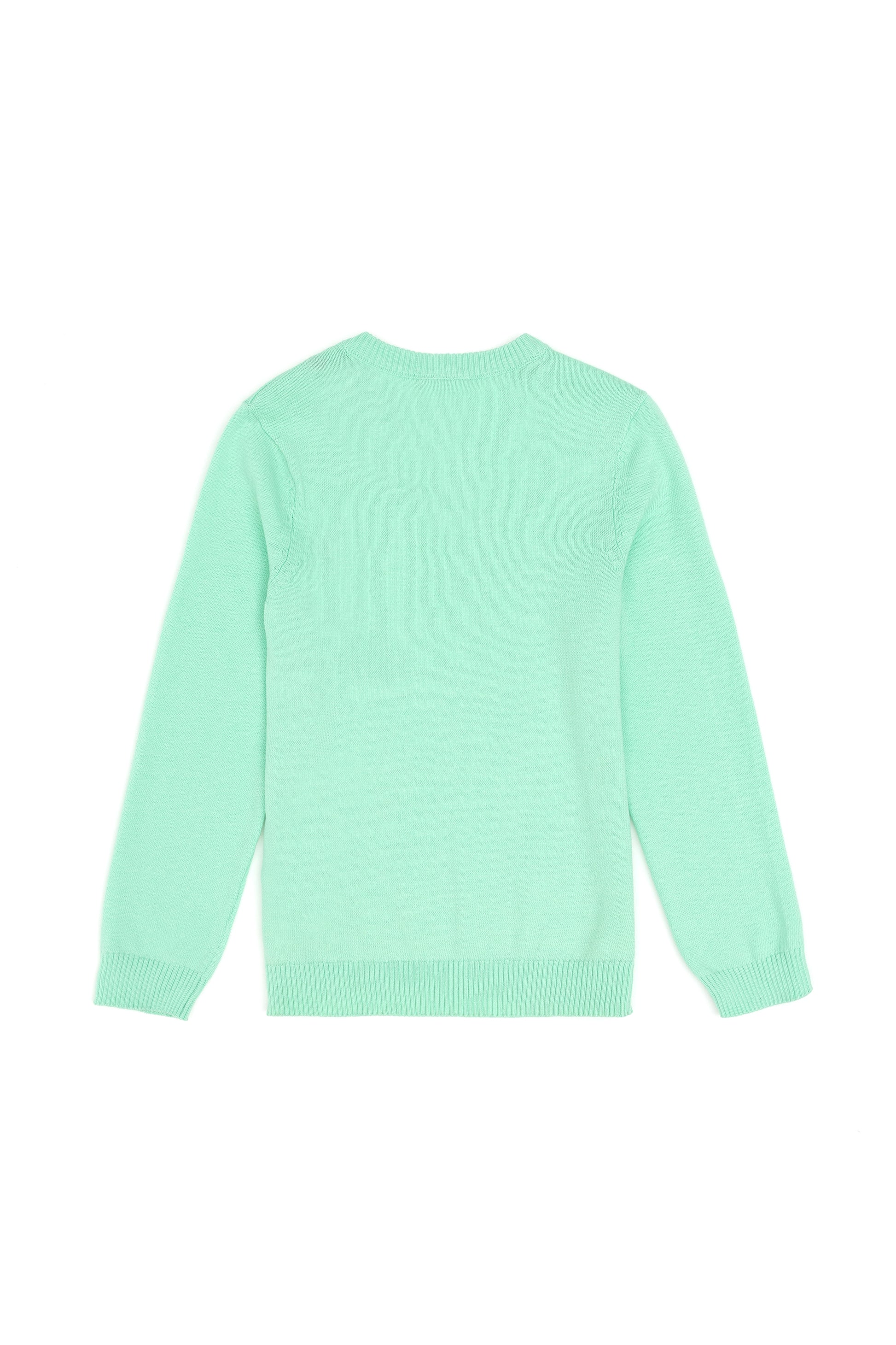 Boys' Mint Basic V Neck Sweater