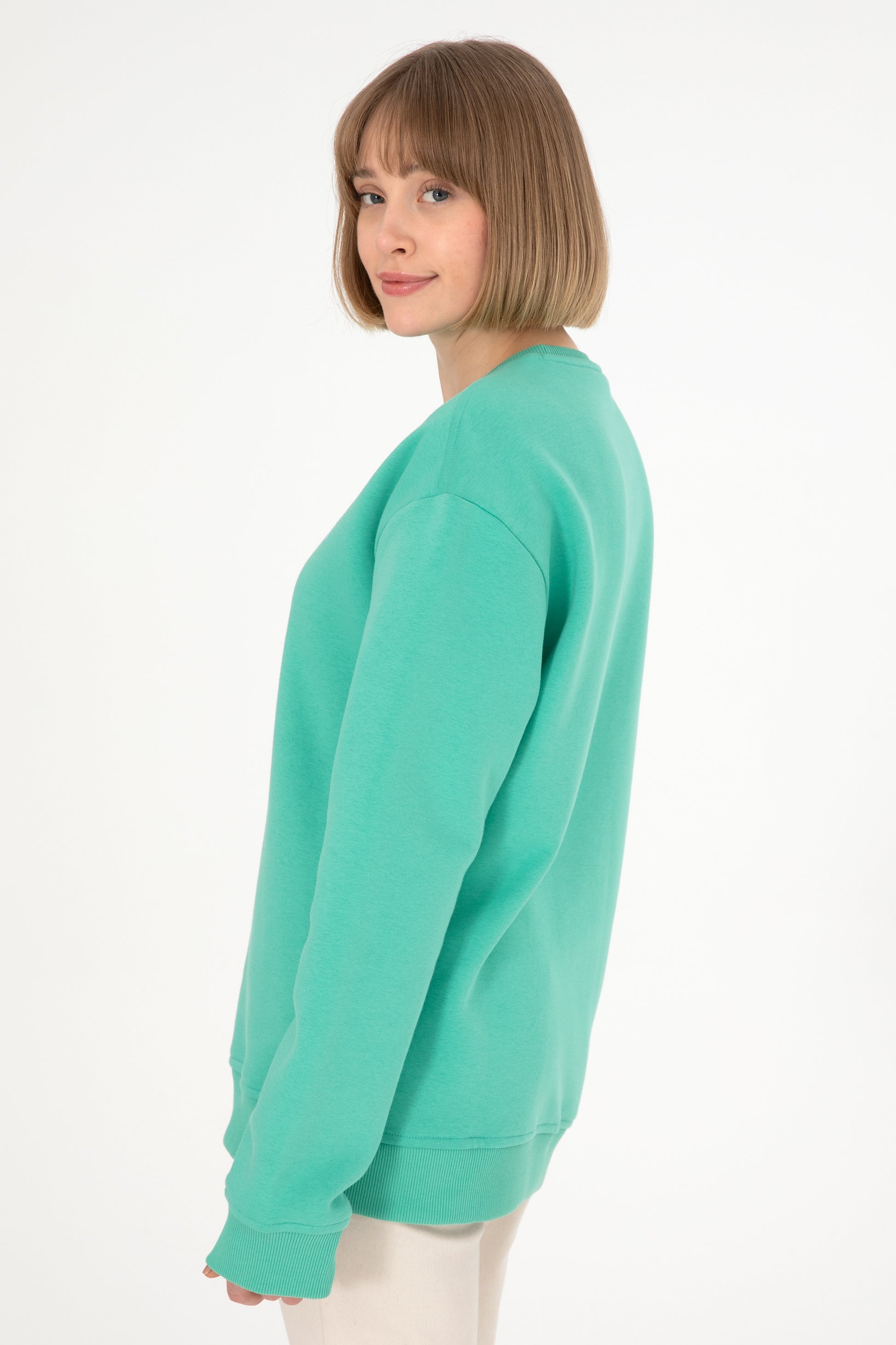 Men's Mint Basic Sweatshirt