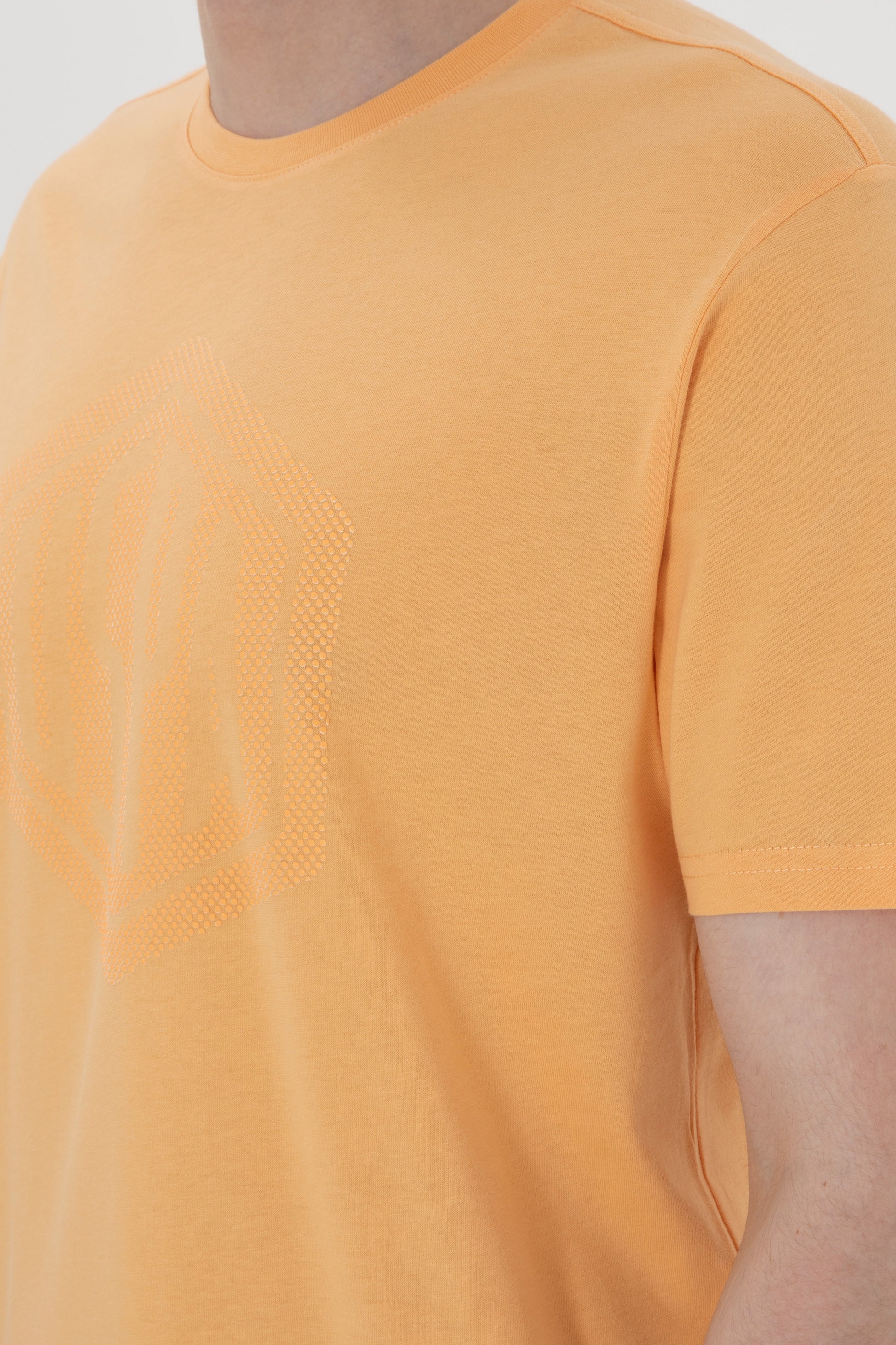 Men's Regular Fit Crew Neck Orange T-Shirt