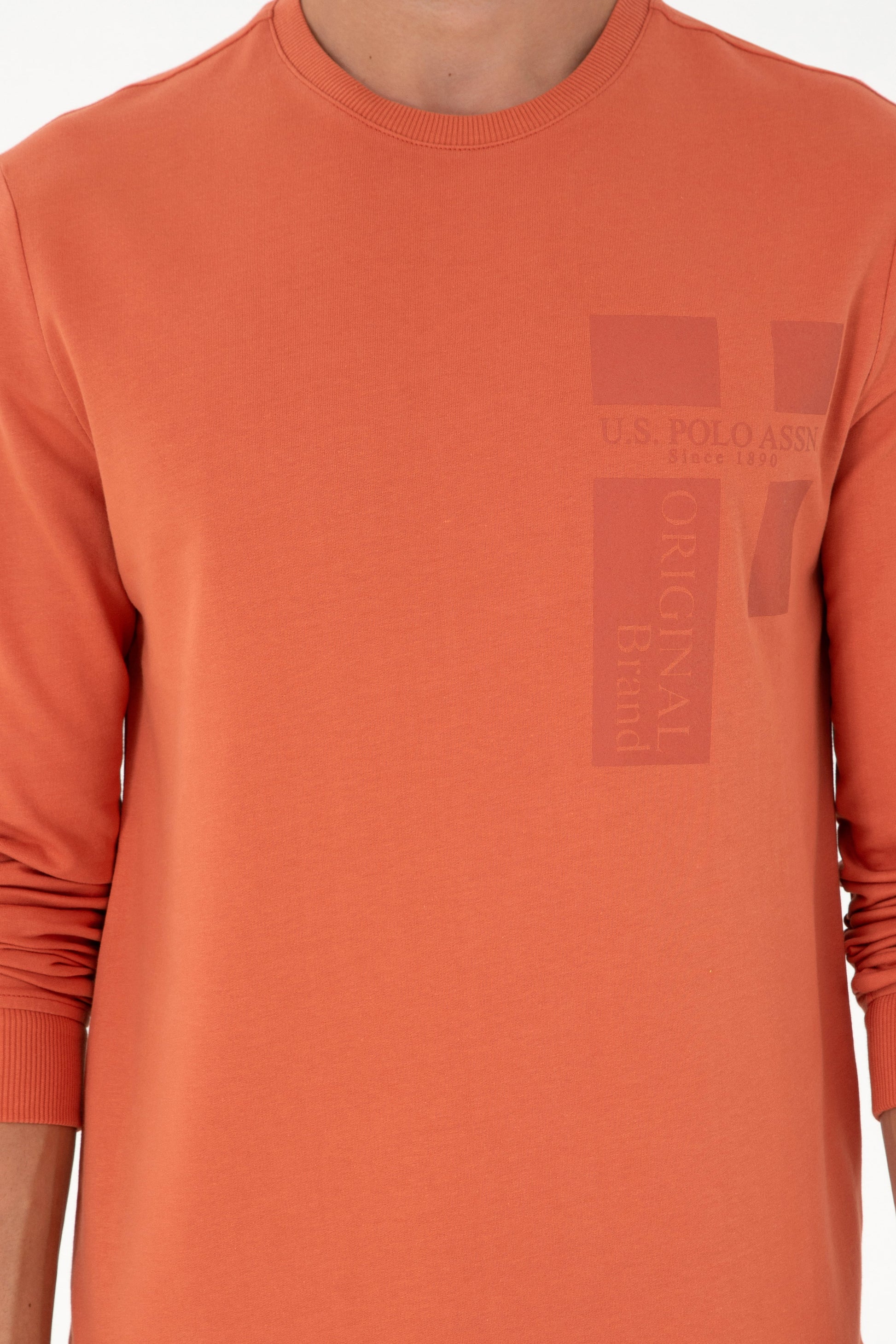 Men's Regular Fit Crew Neck Cinnamon Sweatshirt