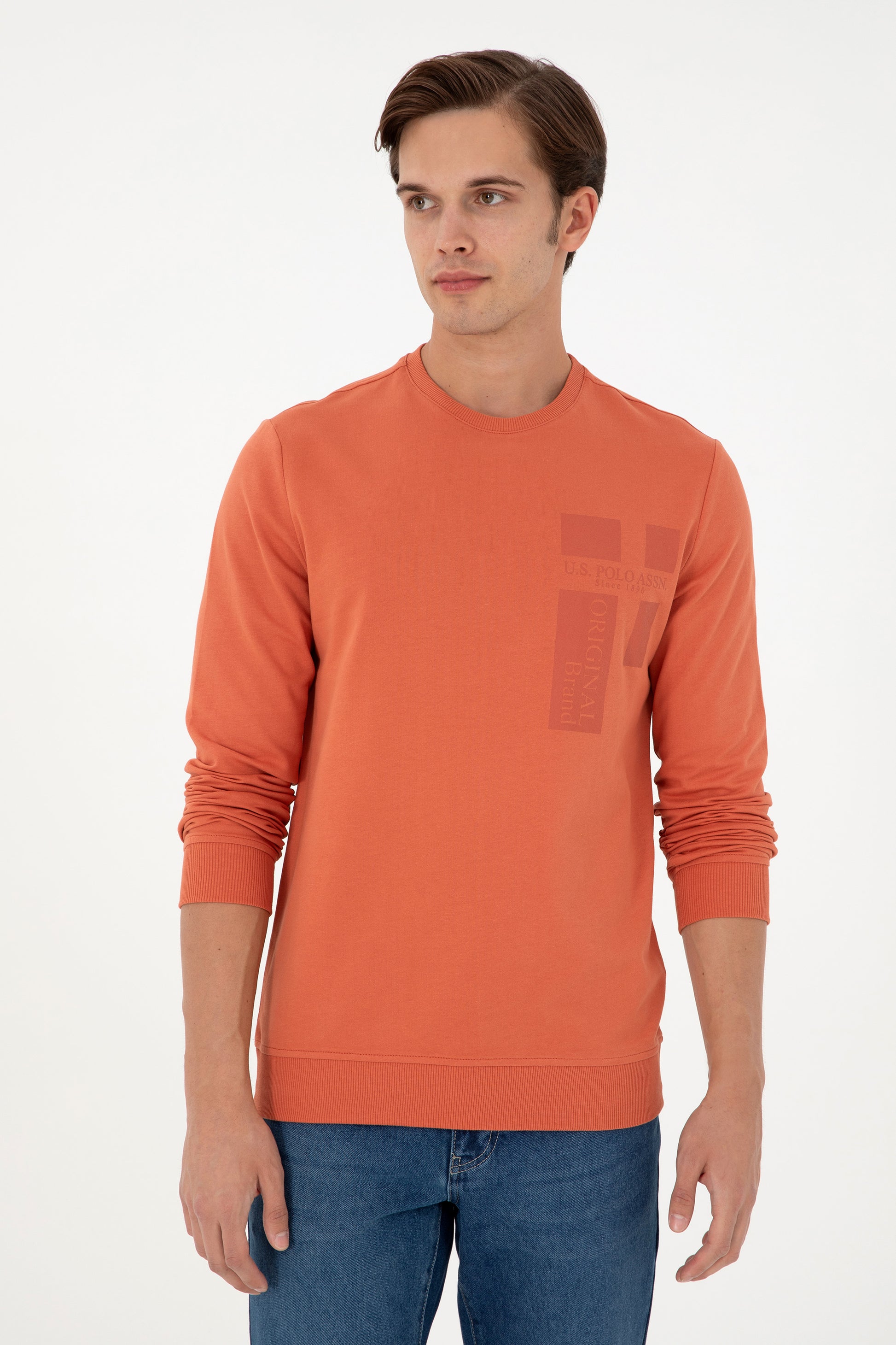 Men's Regular Fit Crew Neck Cinnamon Sweatshirt