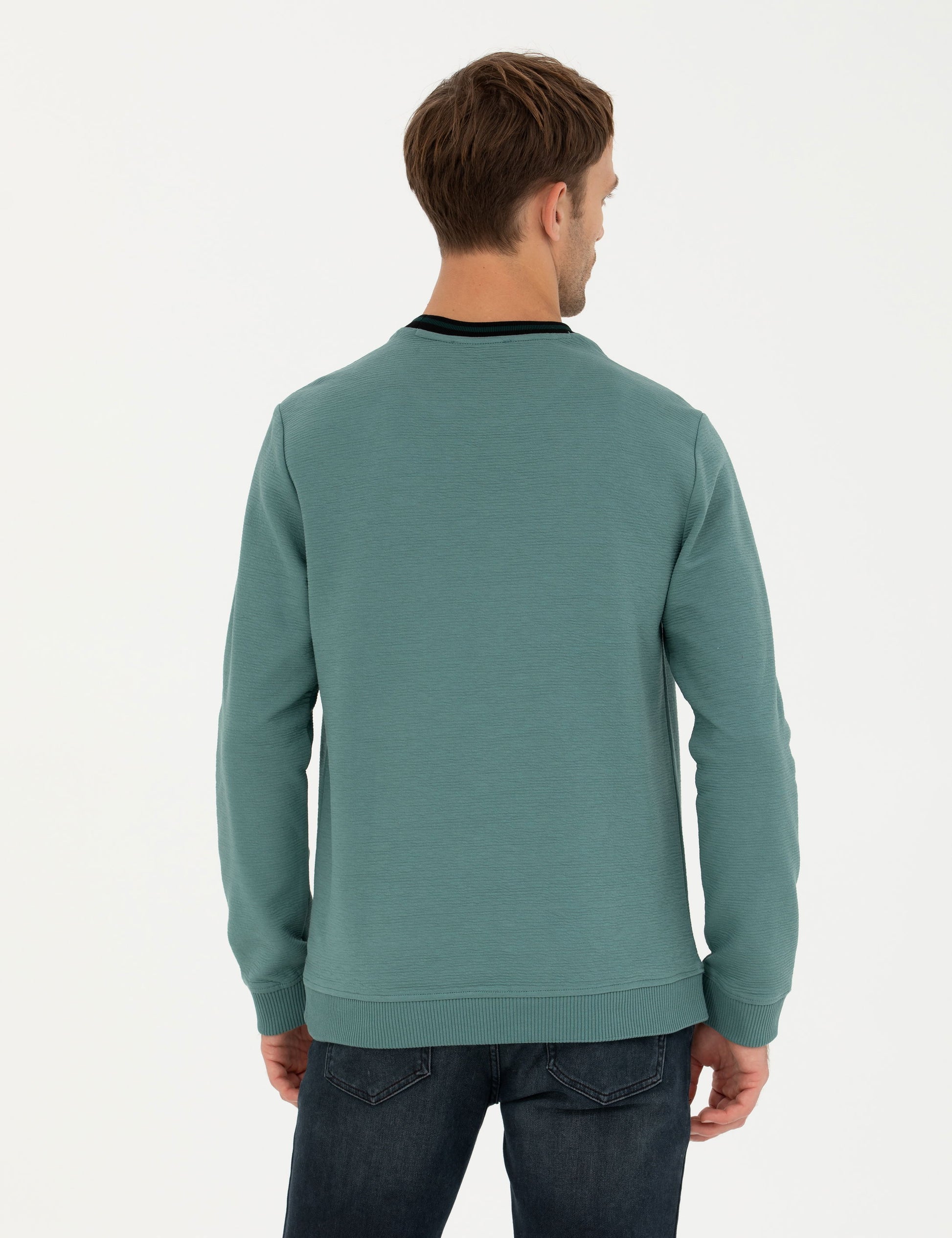 Green Regular Fit Crew Neck Sweatshirt