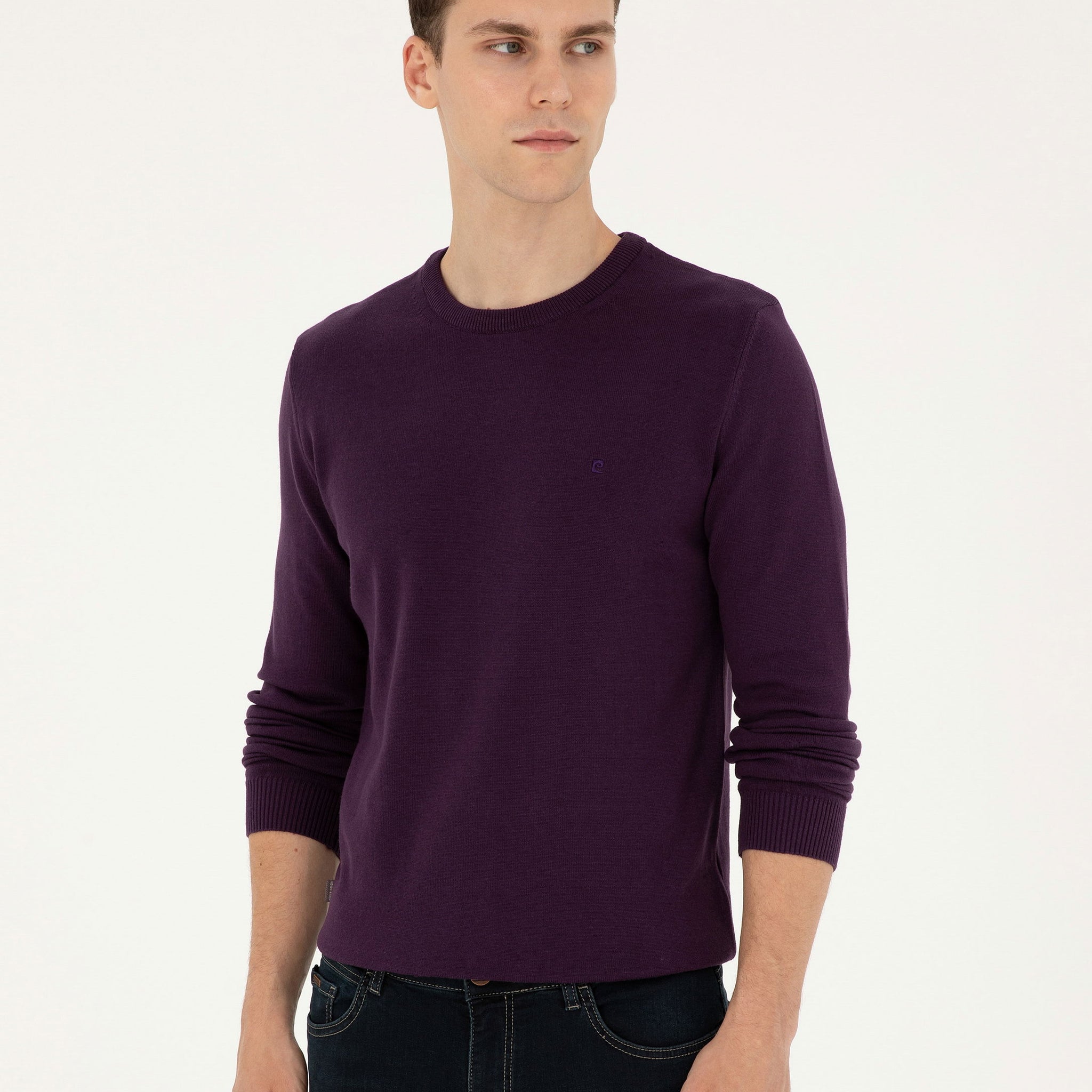 Purple Slim Fit Crew Neck Basic Knitwear Sweater