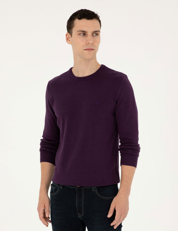 Purple Slim Fit Crew Neck Basic Knitwear Sweater