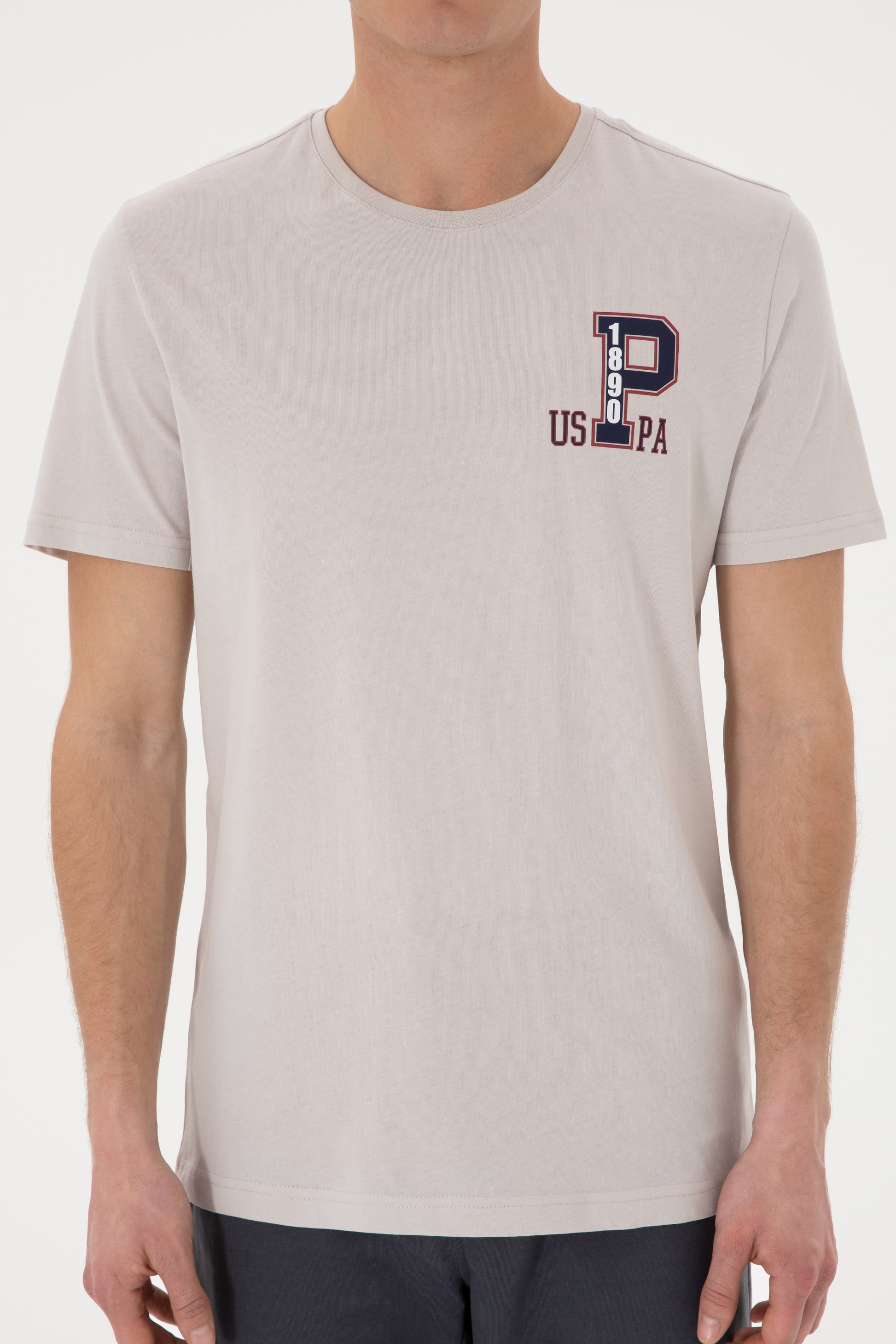 Men's Regular Fit Crew Neck Light Grey T-Shirt