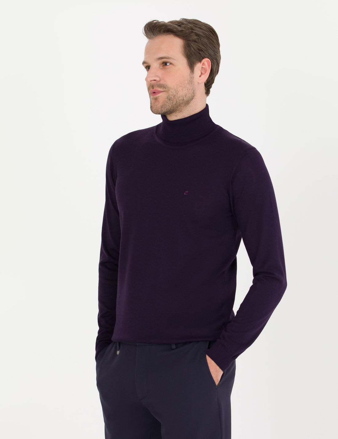 Purple Slim Fit Turtleneck Wool Blend Basic Knitwear Sweater