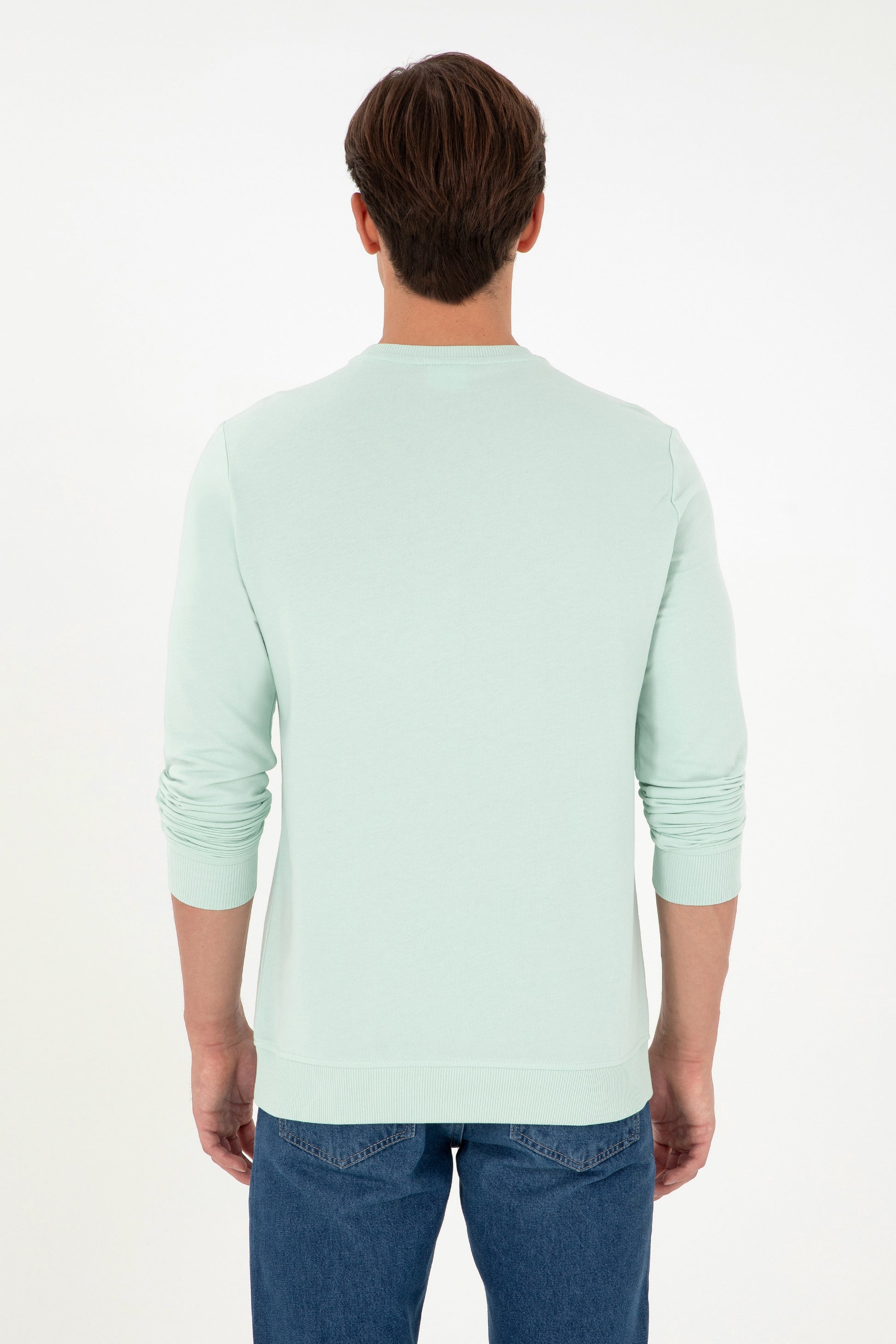 Men's Regular Fit Crew Neck Water Green Sweatshirt