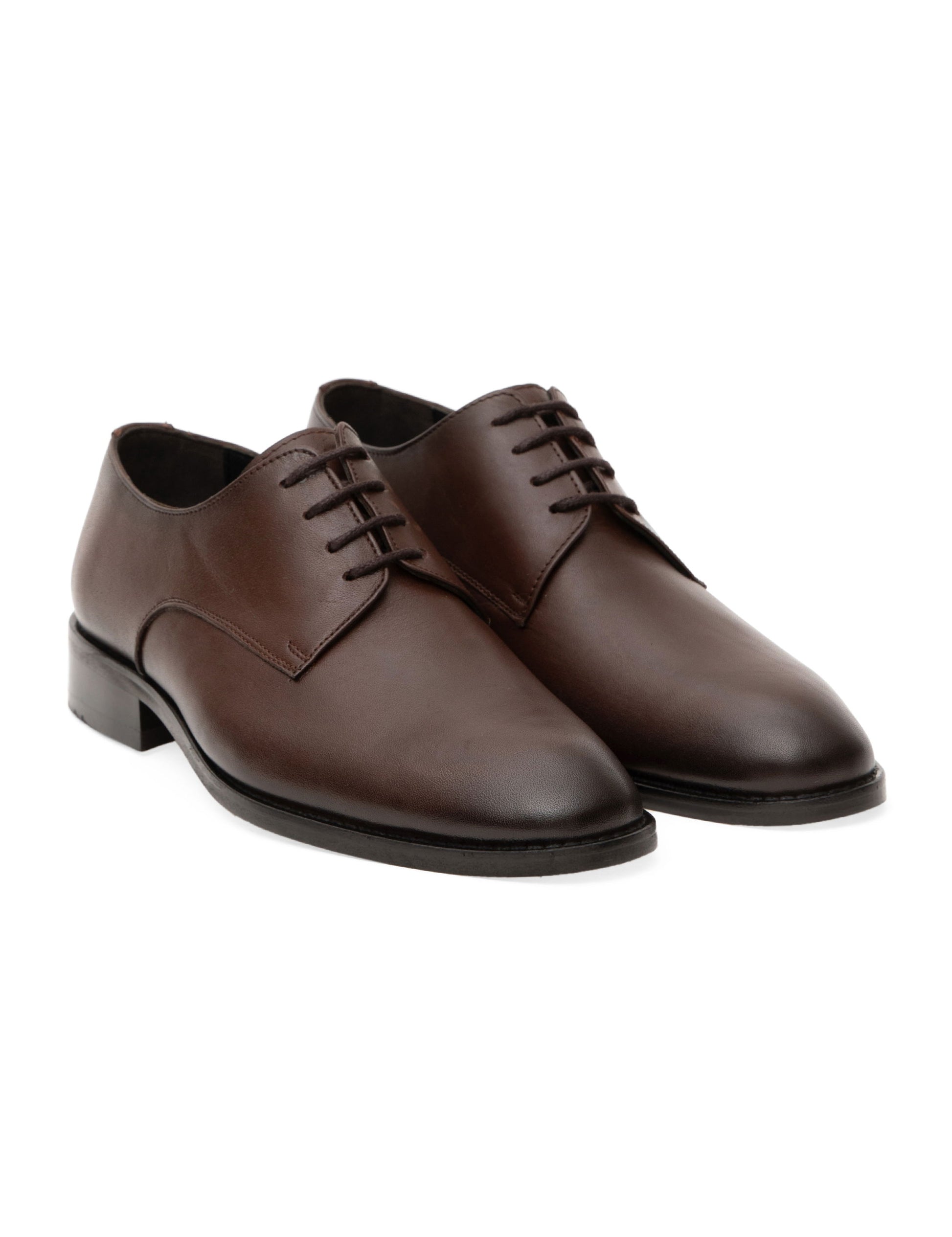 Brown 100% Leather Classic Shoes