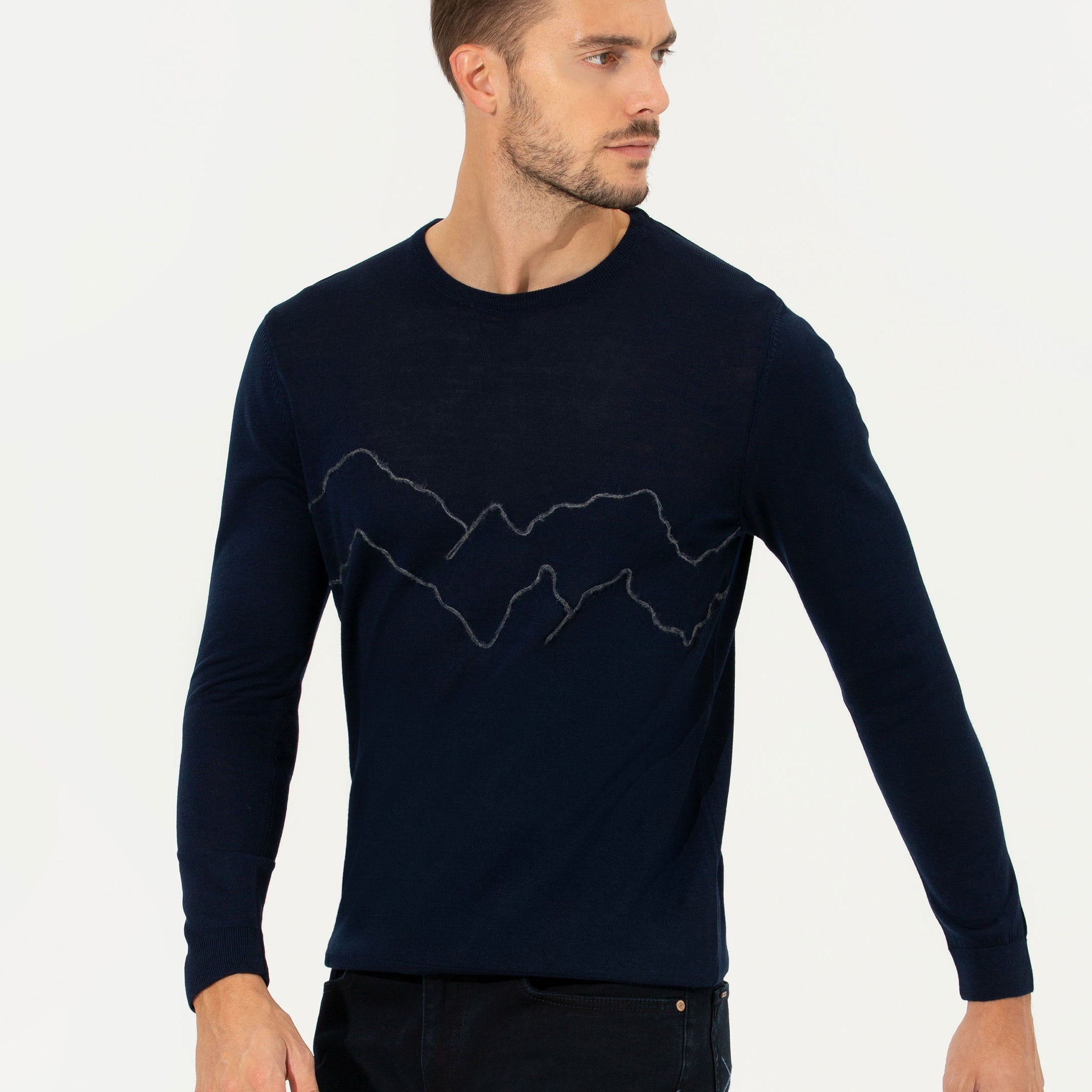 Navy Regular Fit Sweater