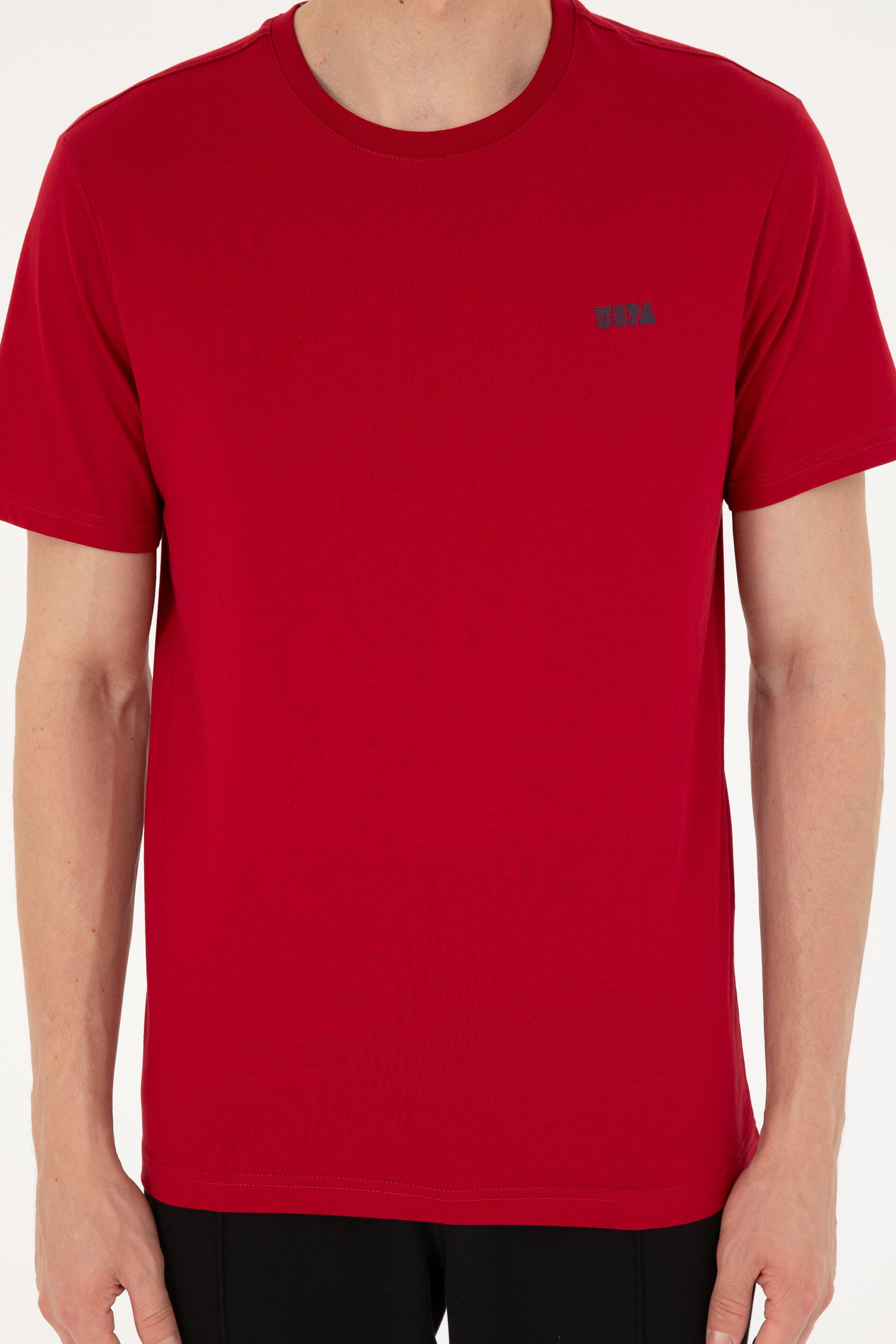 Men's Regular Fit Crew Neck Burgundy T-Shirt