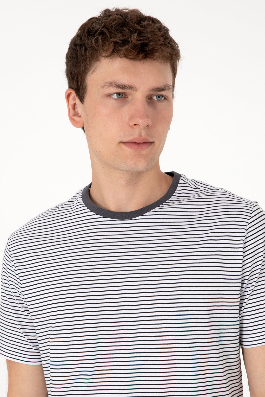 Men's Regular Fit Crew Neck Black Striped T-Shirt