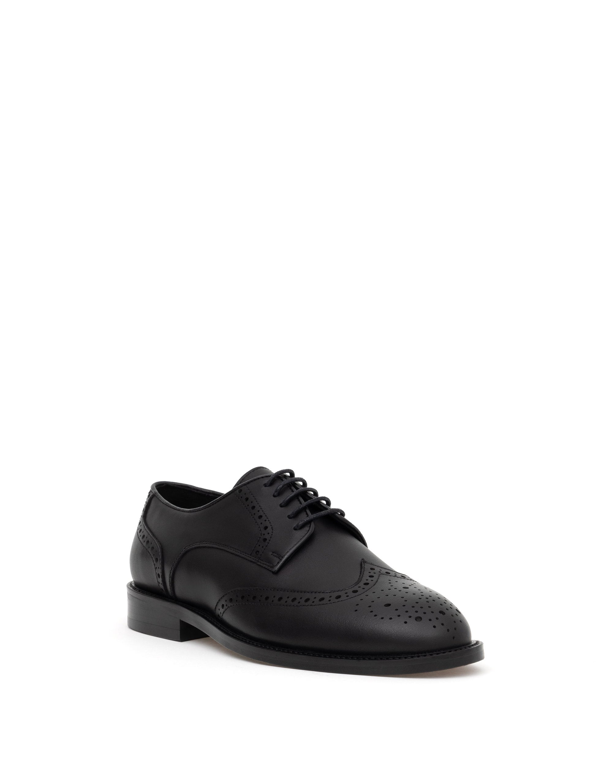 Black 100% Leather Classic Shoes