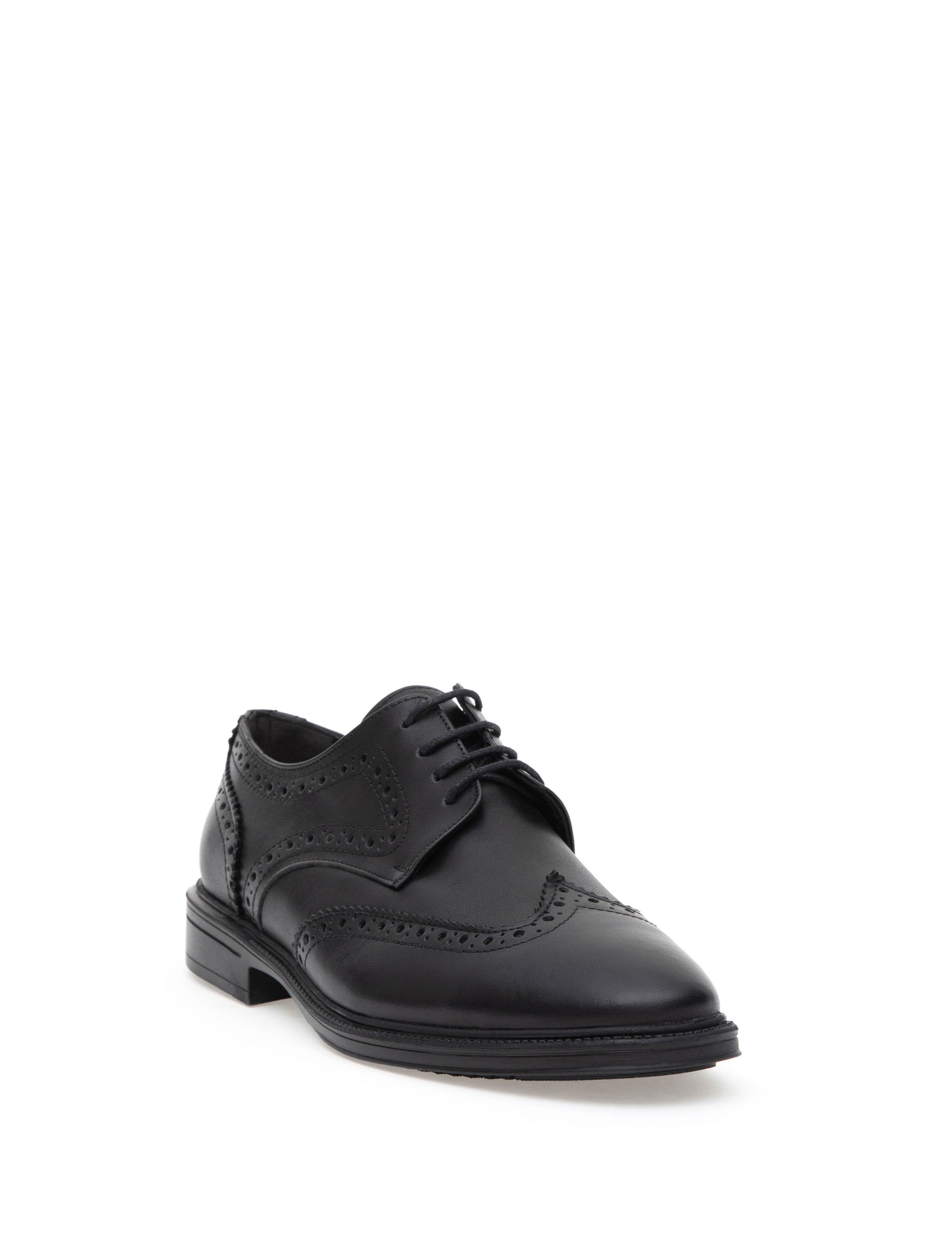 Black 100% Leather Classic Shoes