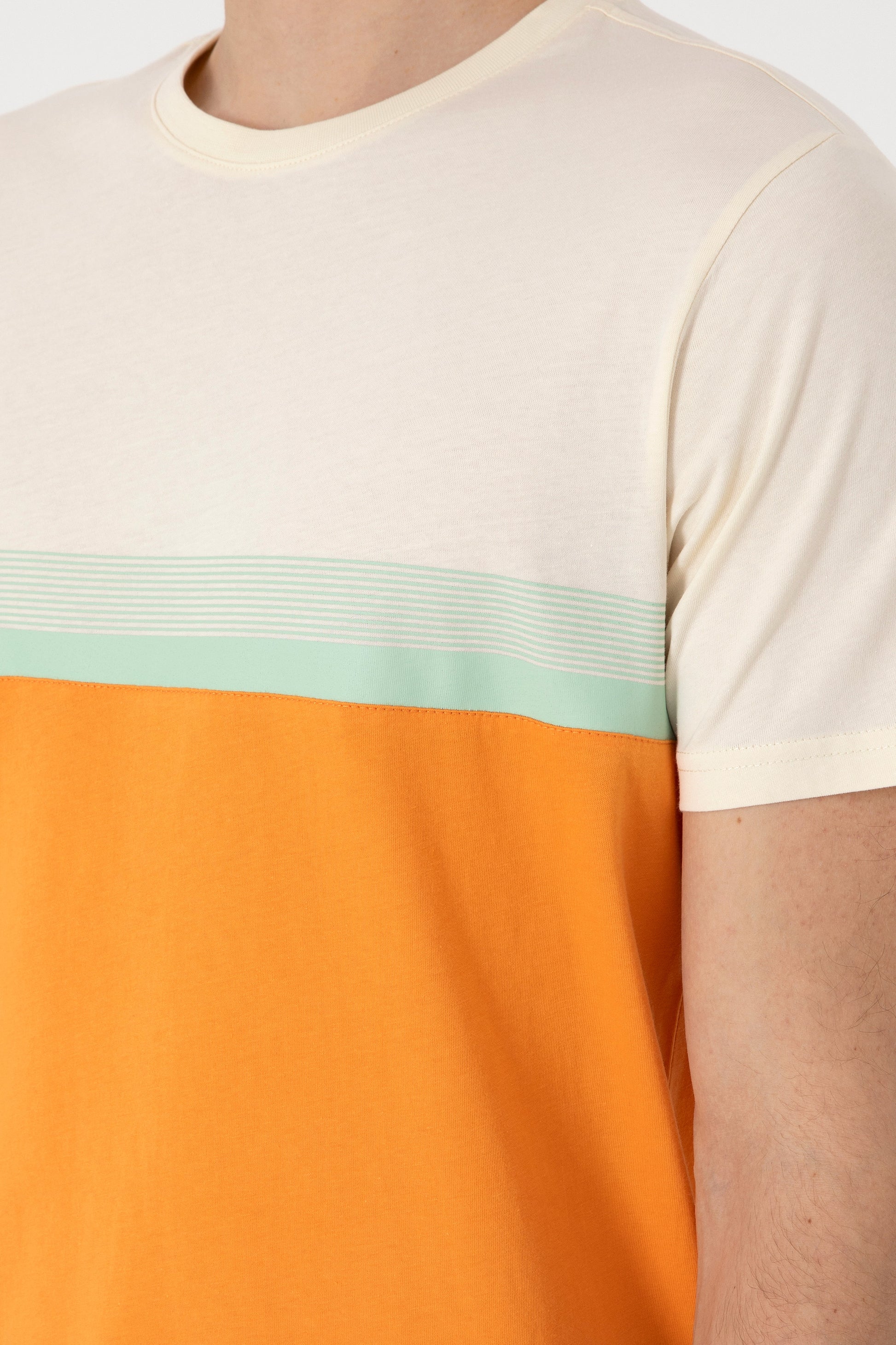 Men's Regular Fit Crew Neck Orange T-Shirt