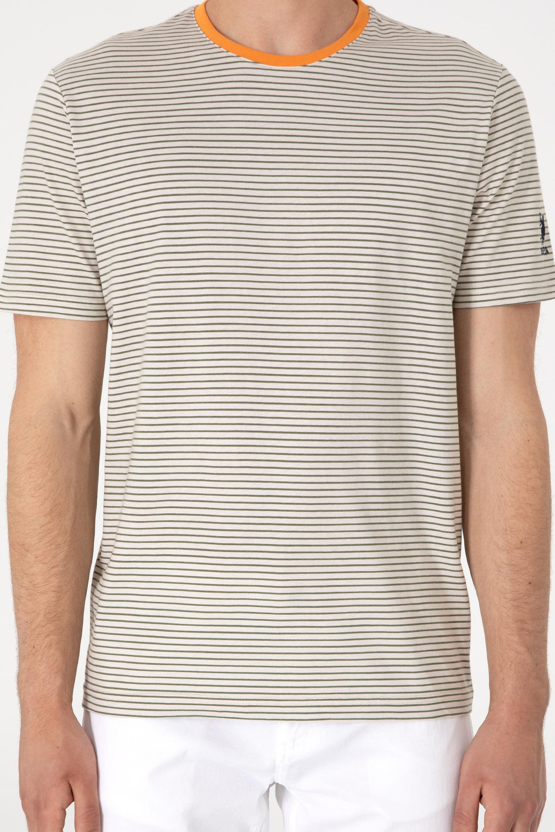 U.S. Polo Assn. - Men's Regular Fit Crew Neck Khaki Striped T-Shirt - 3XL / Green / Regular