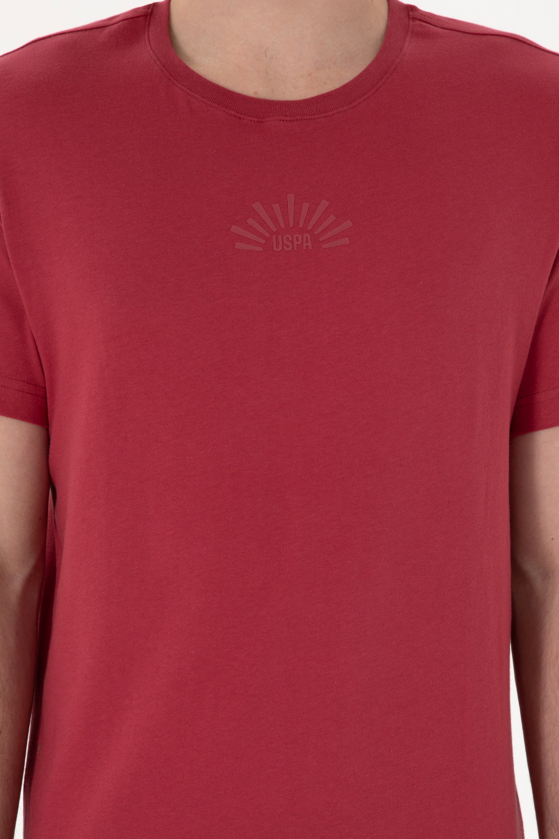 Men's Regular Fit Crew Neck Cherry T-Shirt