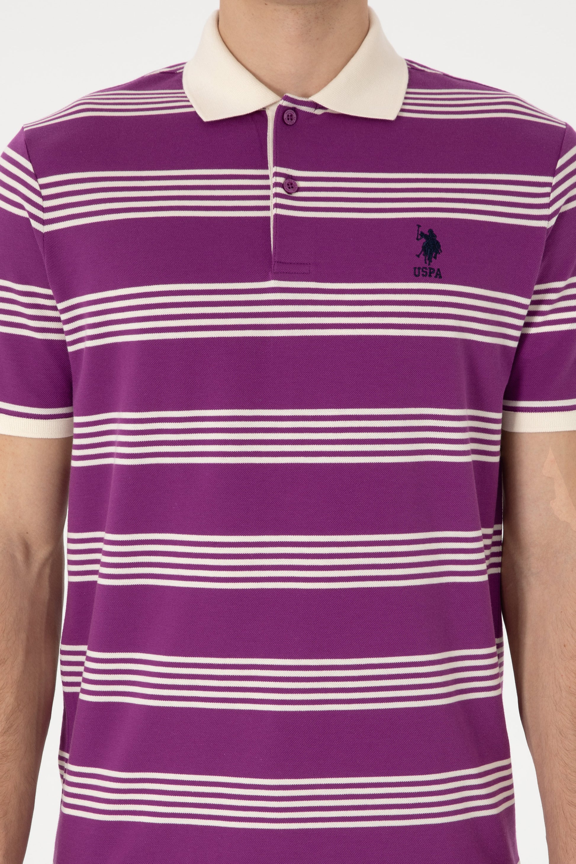 Men's Regular Fit Polo Neck Purple Striped T-Shirt