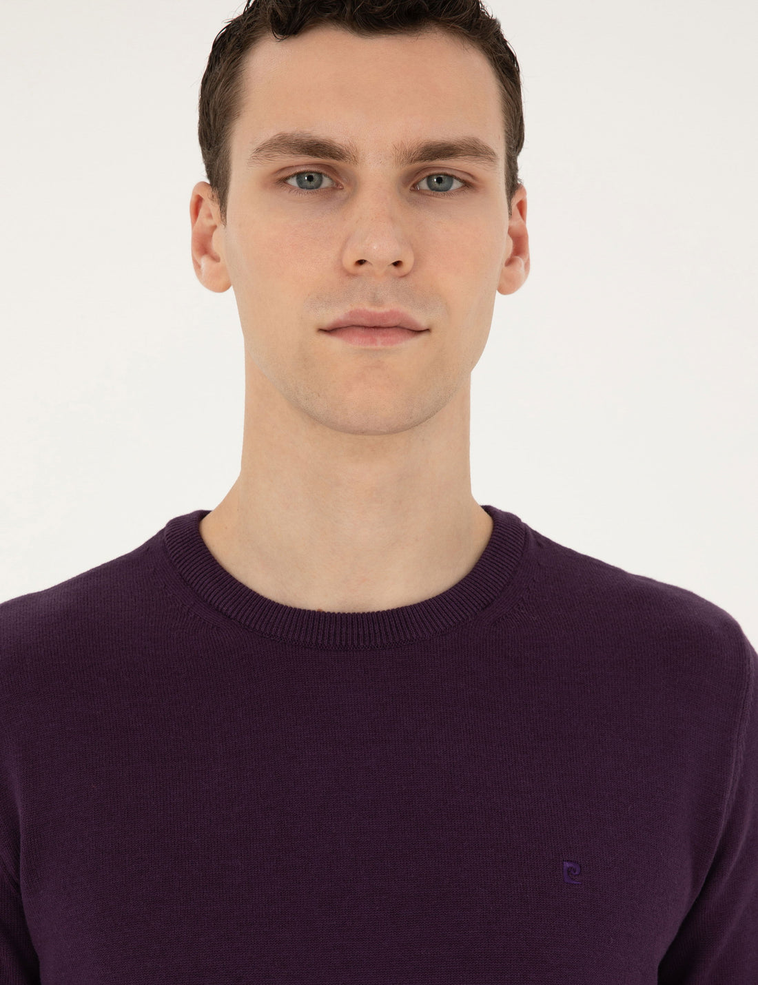 Purple Slim Fit Crew Neck Basic Knitwear Sweater