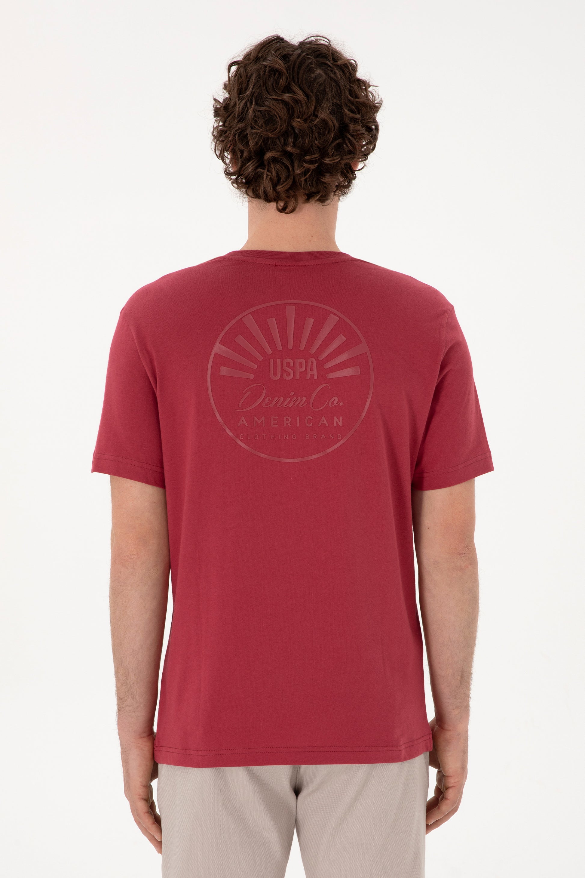 Men's Regular Fit Crew Neck Cherry T-Shirt