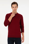 Men's Regular Fit Crew Neck Burgundy Basic Sweatshirt