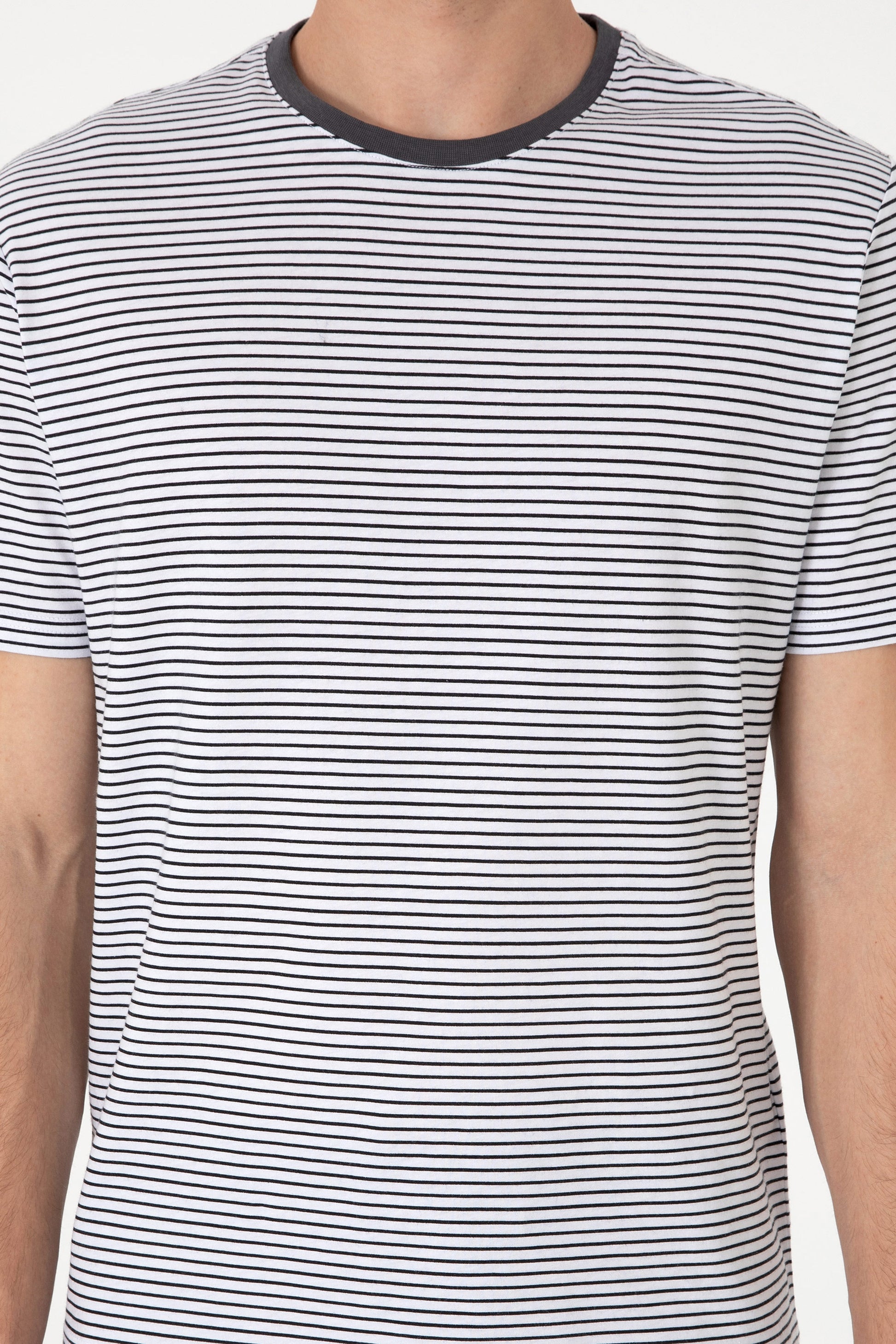 Men's Regular Fit Crew Neck Black Striped T-Shirt