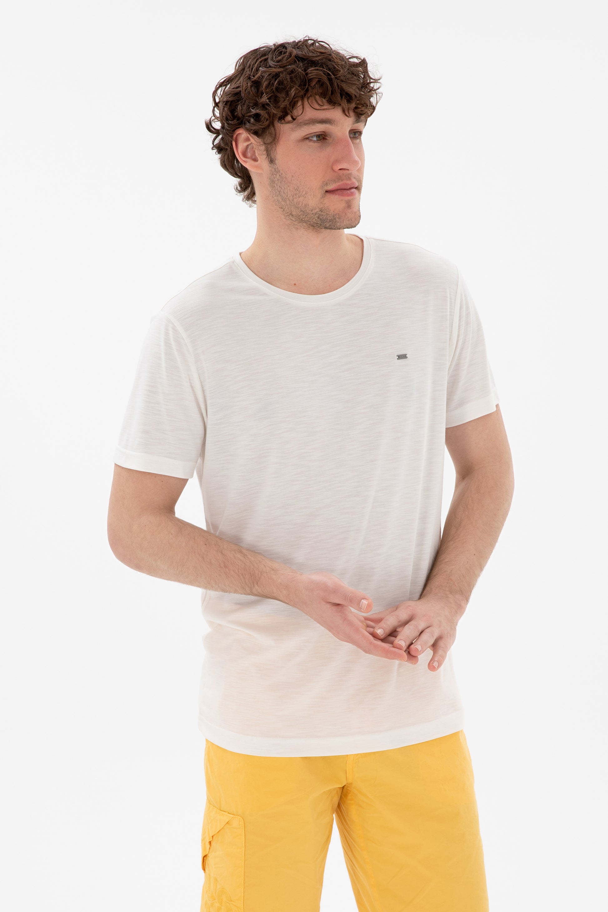 Men's Regular Fit Crew Neck Modal Ecru Basic T-Shirt