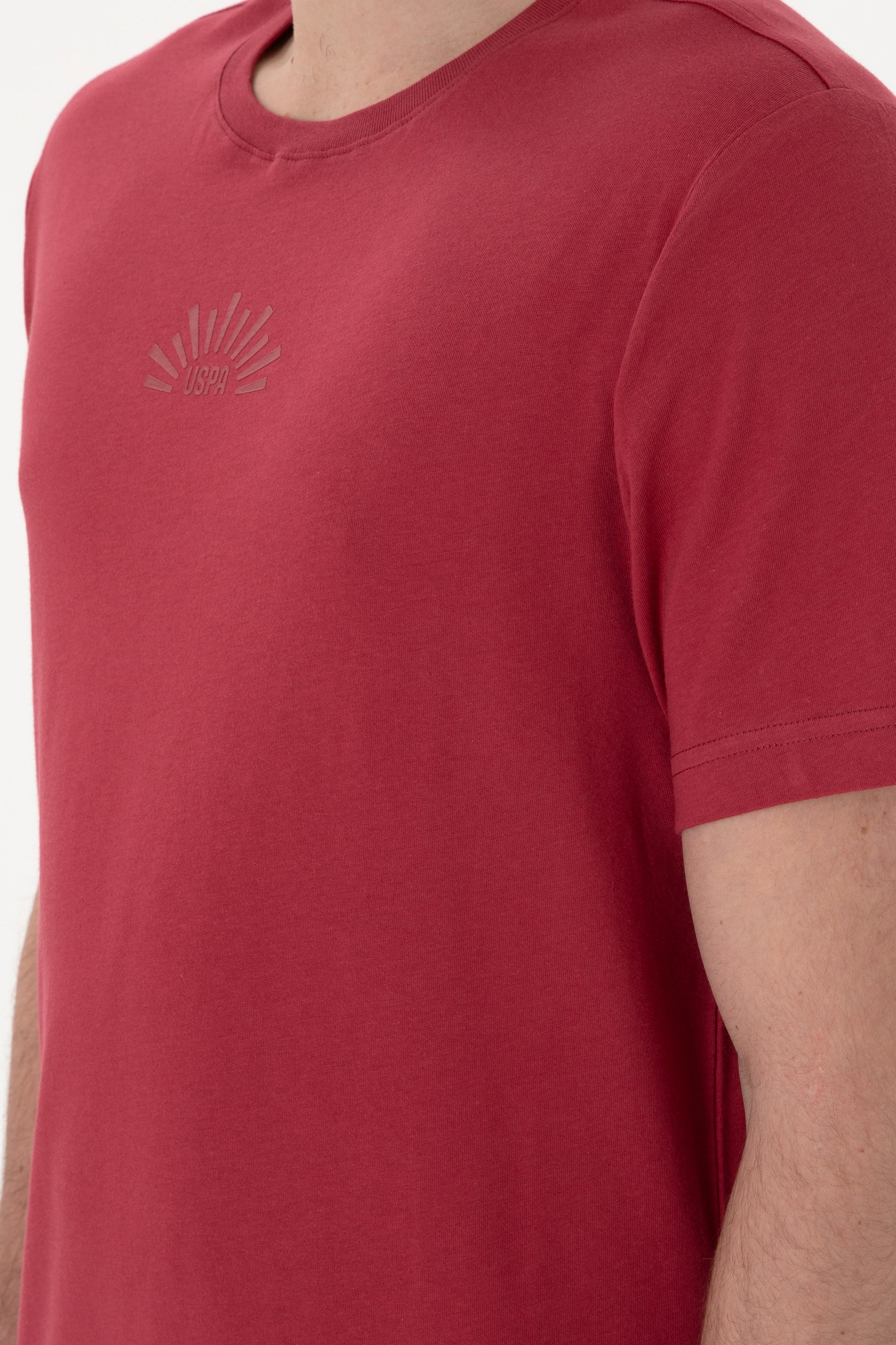 Men's Regular Fit Crew Neck Cherry T-Shirt